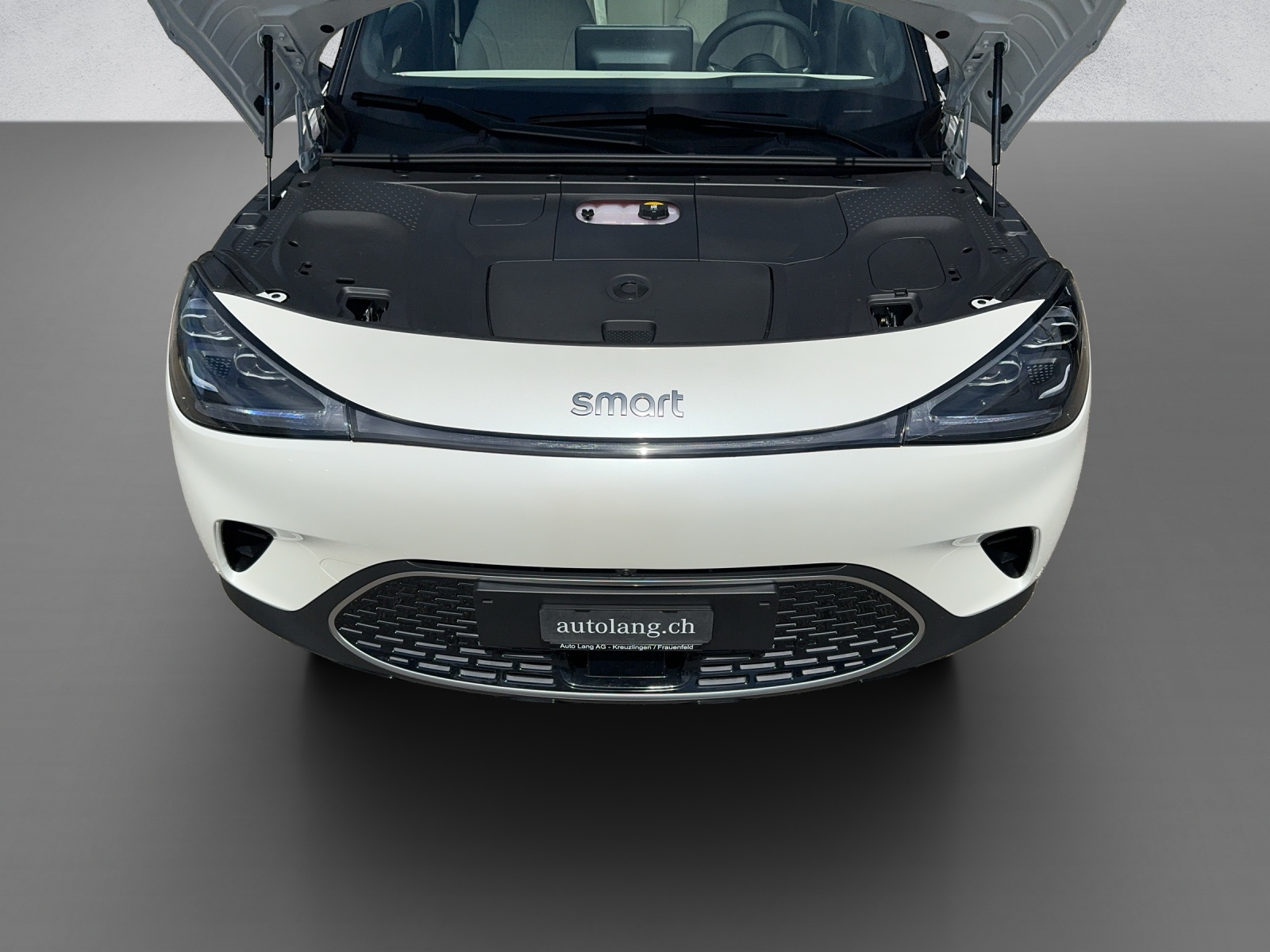 SMART #1 Premium-image-9