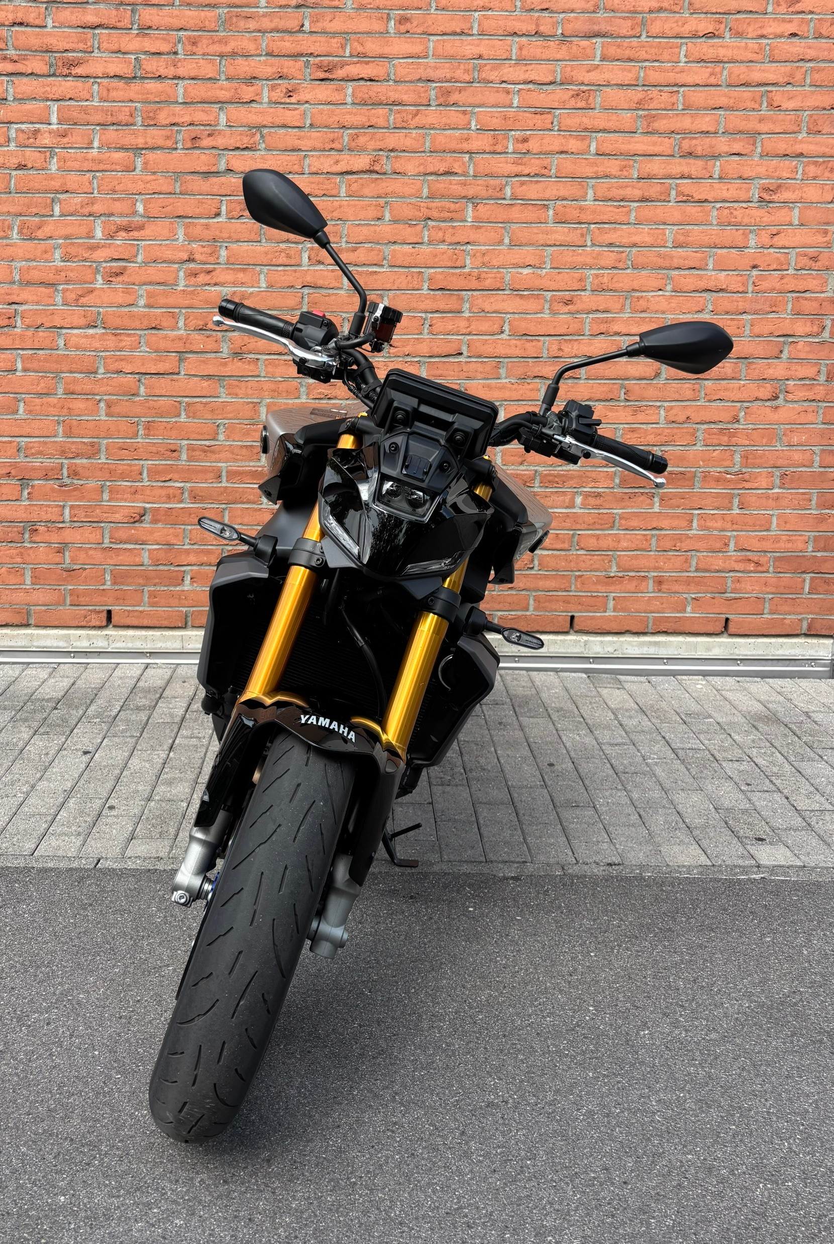 YAMAHA MT-09 SP-image-2