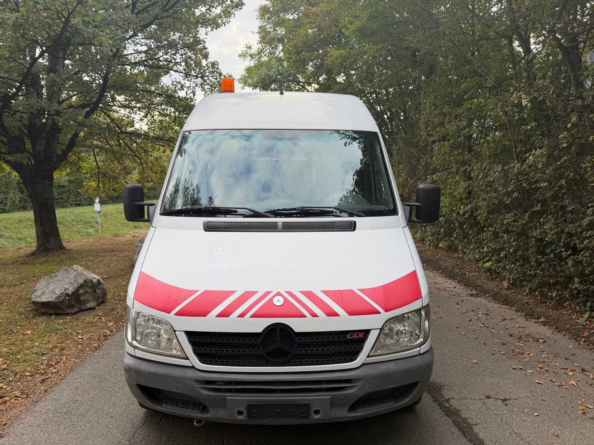 MERCEDES-BENZ Sprinter 313 CDI-image-0