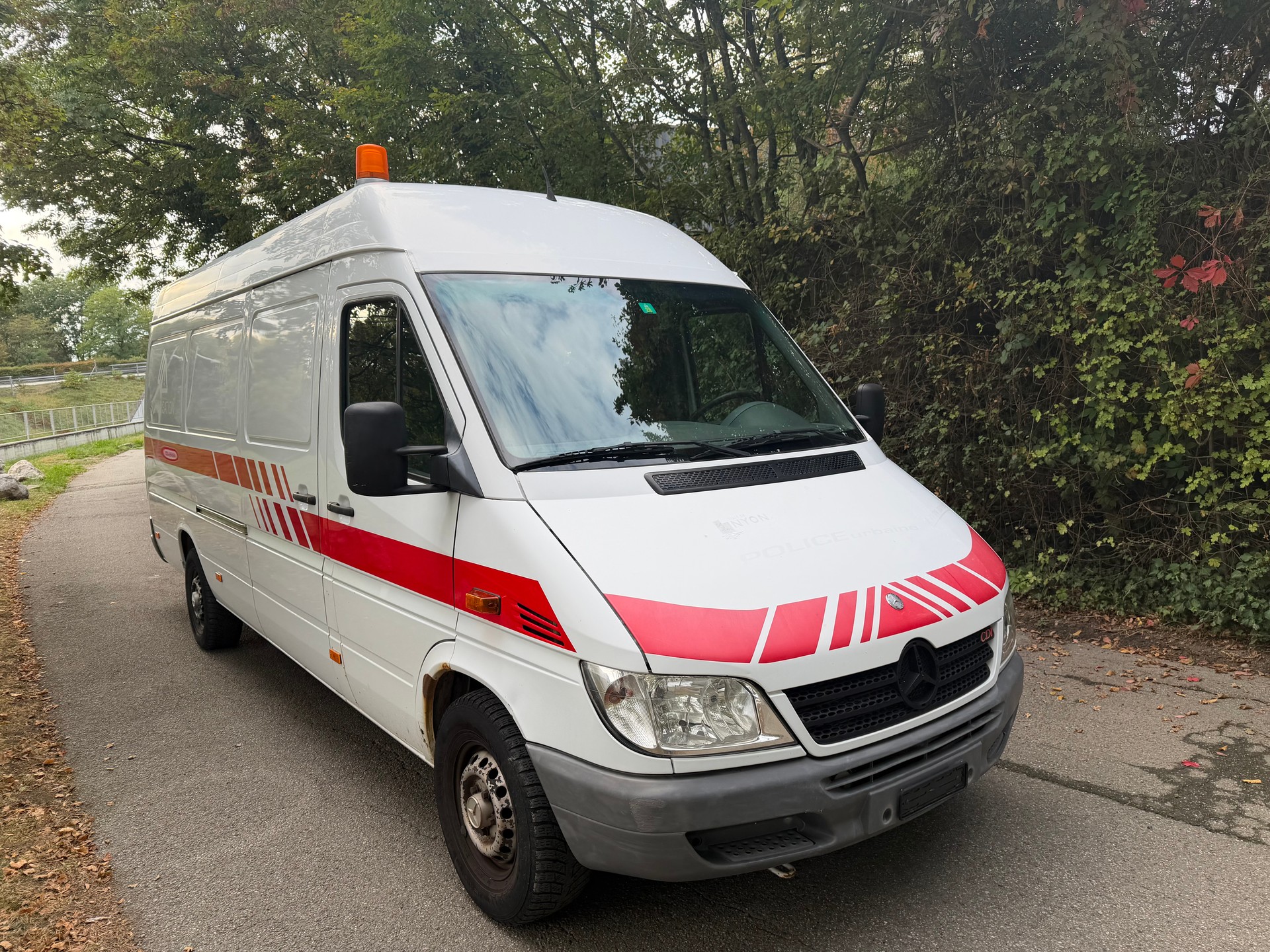 MERCEDES-BENZ Sprinter 313 CDI-image-2