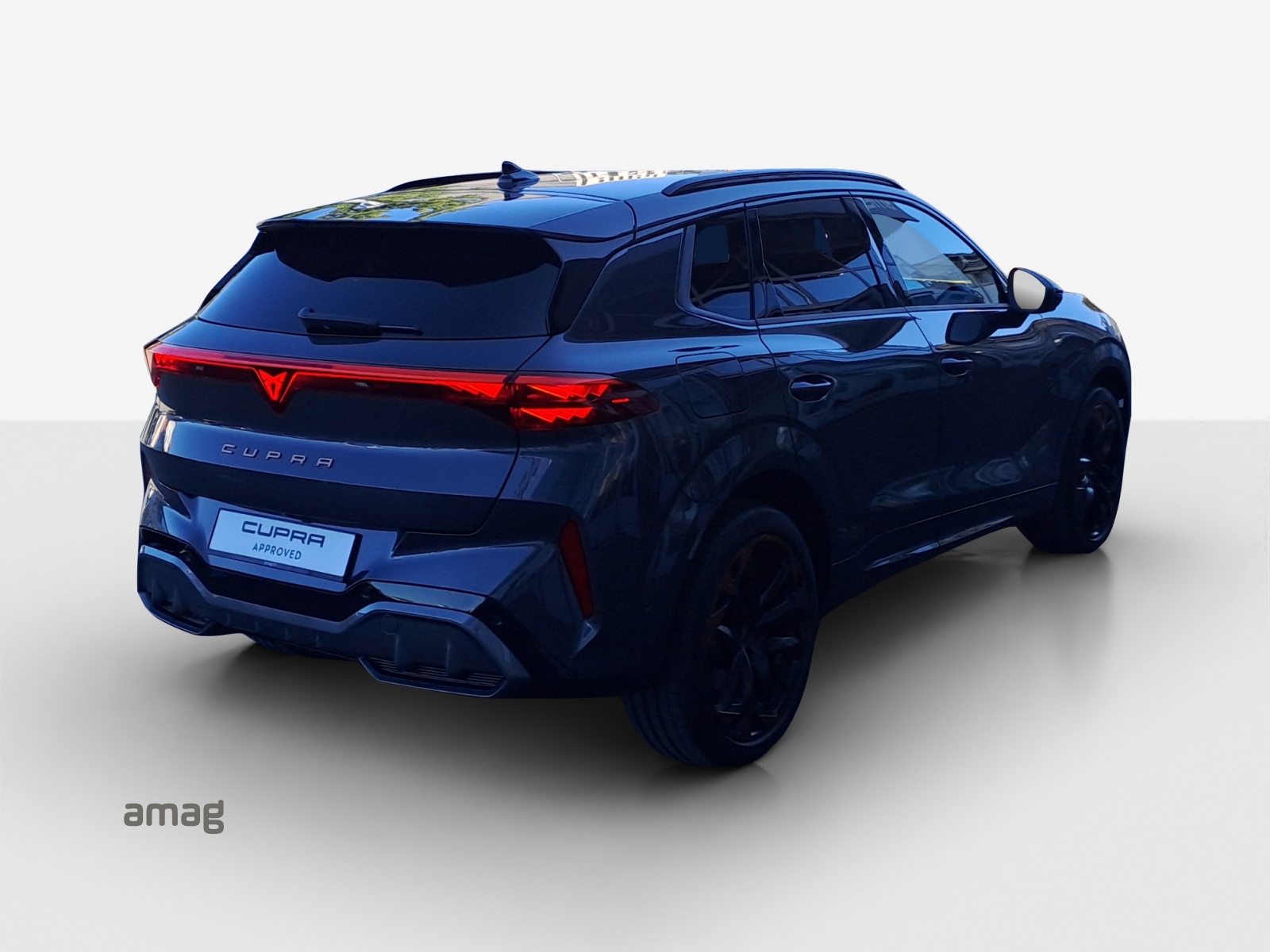 CUPRA Terramar 2.0 TSI DSG 4Drive Americas CUP-image-4
