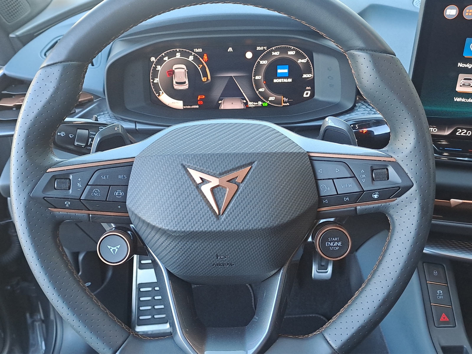 CUPRA Terramar 2.0 TSI DSG 4Drive Americas CUP-image-9