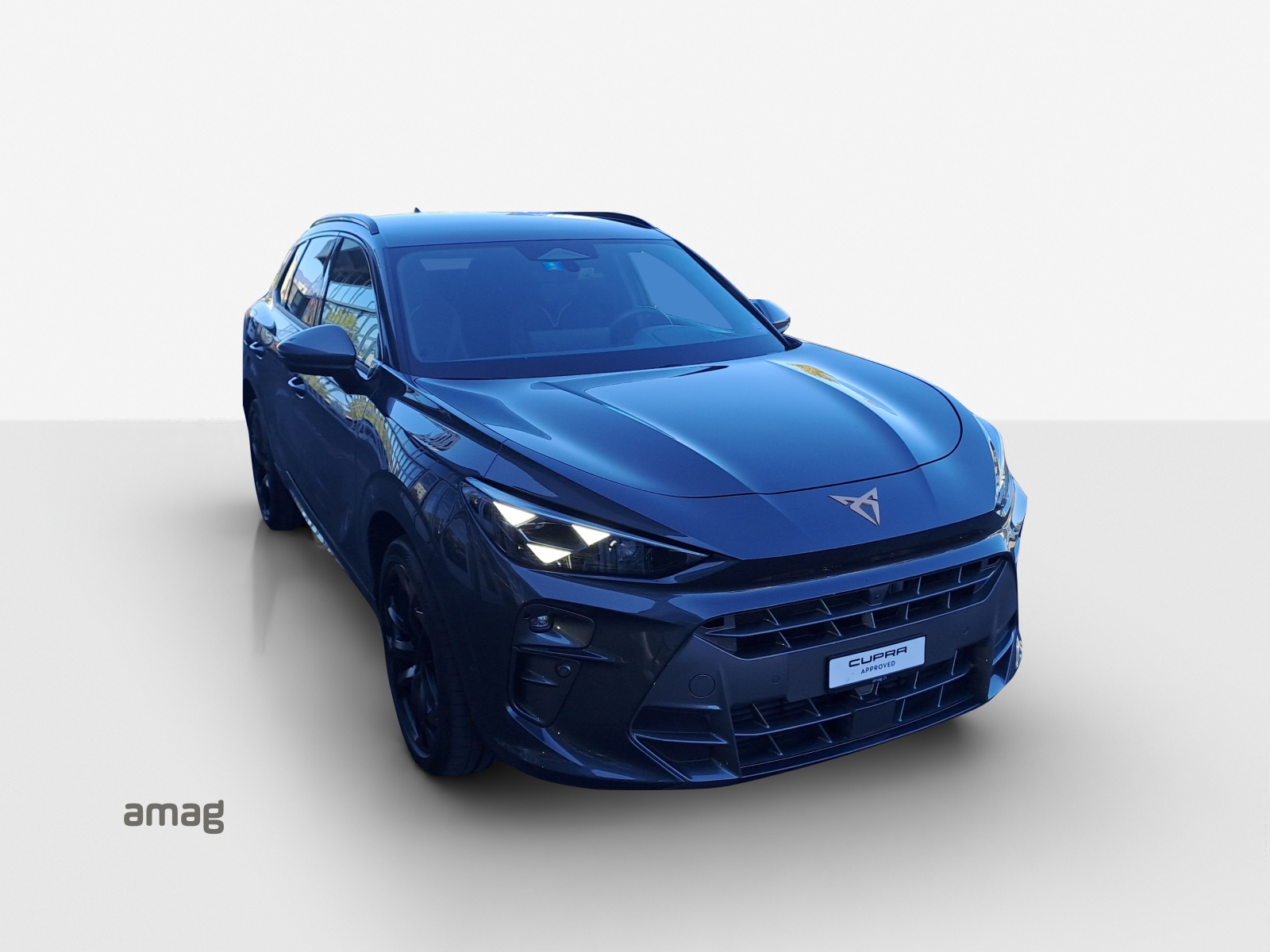 CUPRA Terramar 2.0 TSI DSG 4Drive Americas CUP-image-15