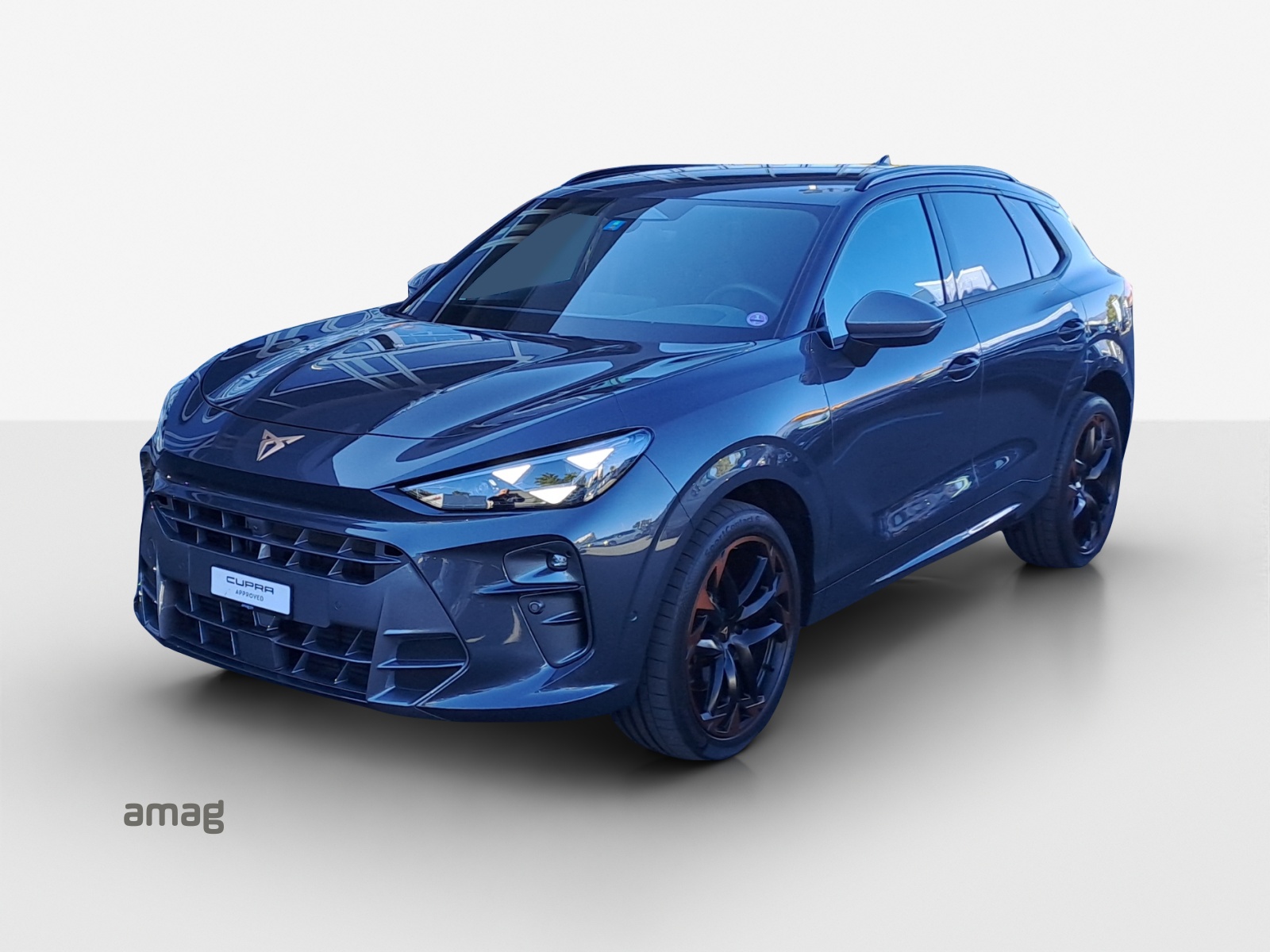 CUPRA Terramar 2.0 TSI DSG 4Drive Americas CUP-image-0