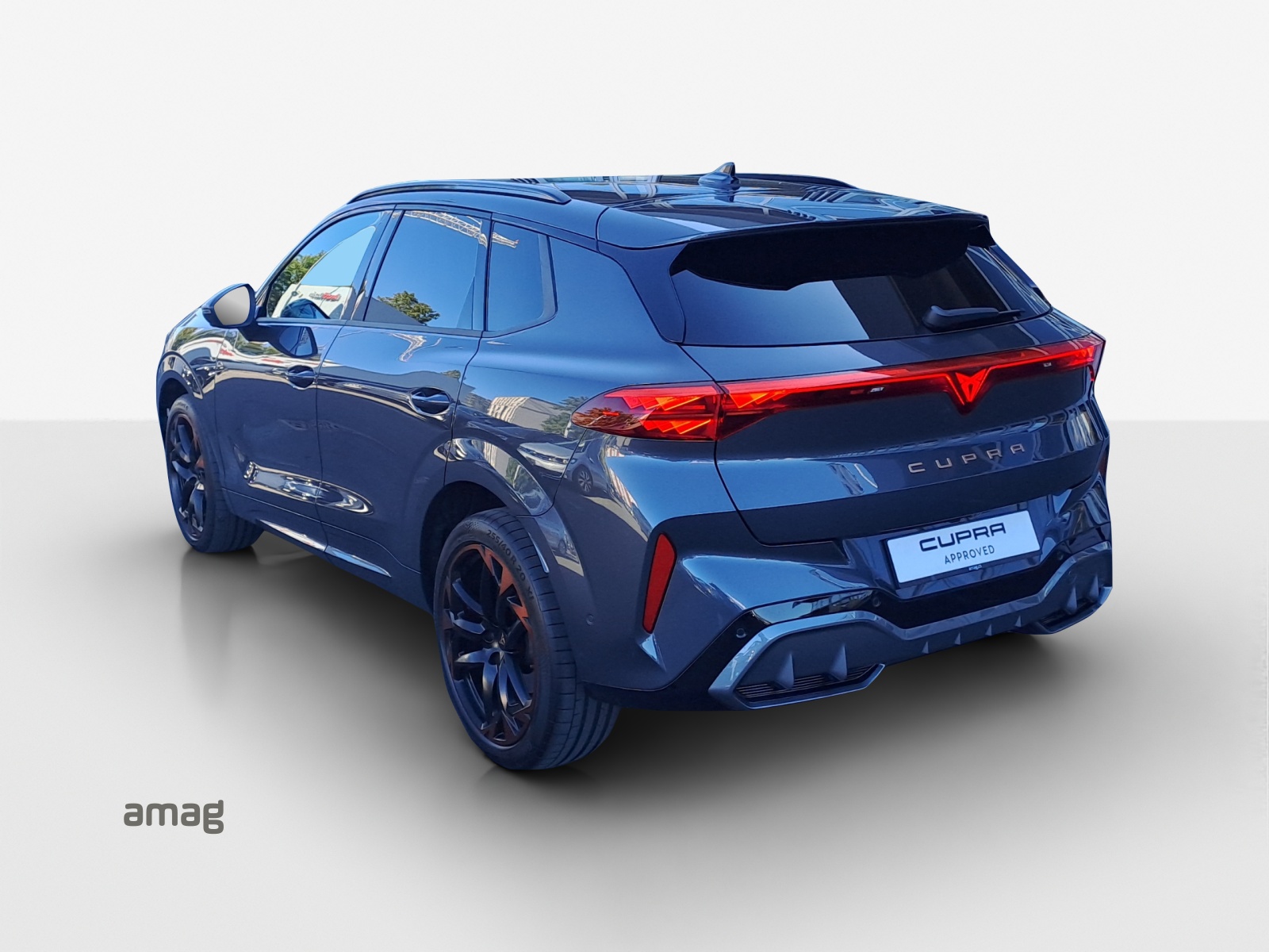 CUPRA Terramar 2.0 TSI DSG 4Drive Americas CUP-image-2
