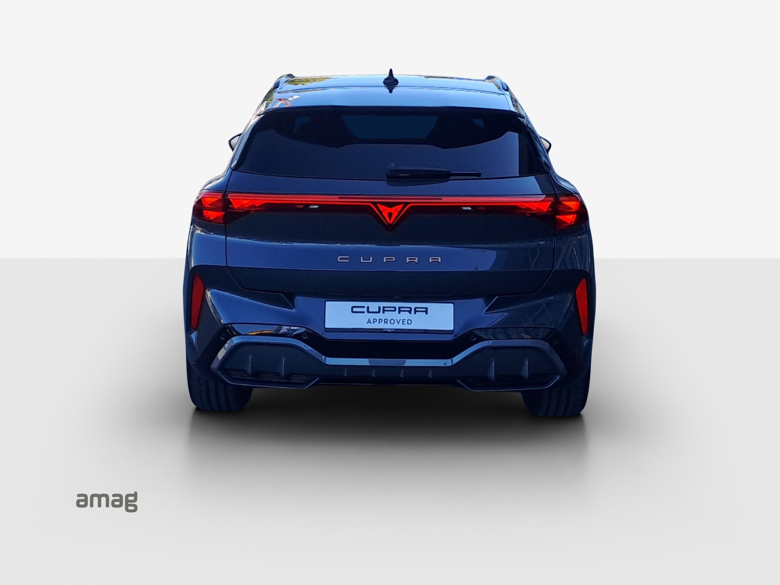 CUPRA Terramar 2.0 TSI DSG 4Drive Americas CUP-image-3