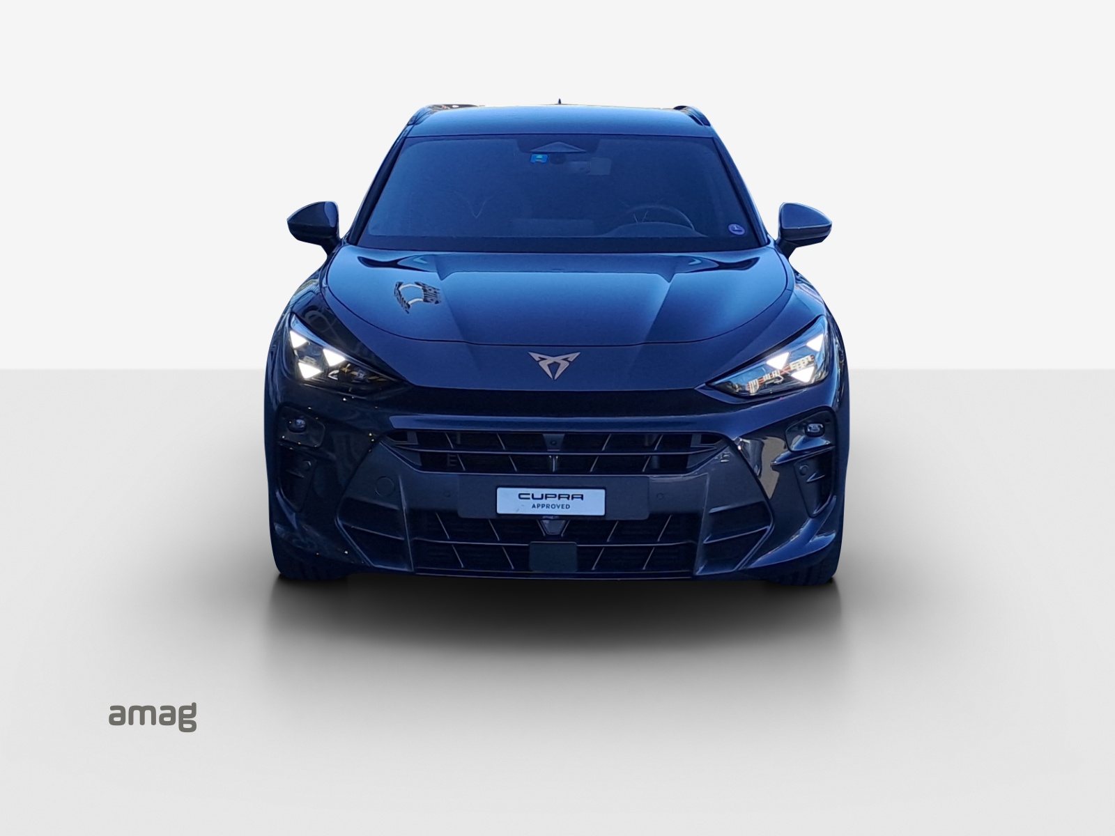 CUPRA Terramar 2.0 TSI DSG 4Drive Americas CUP-image-6