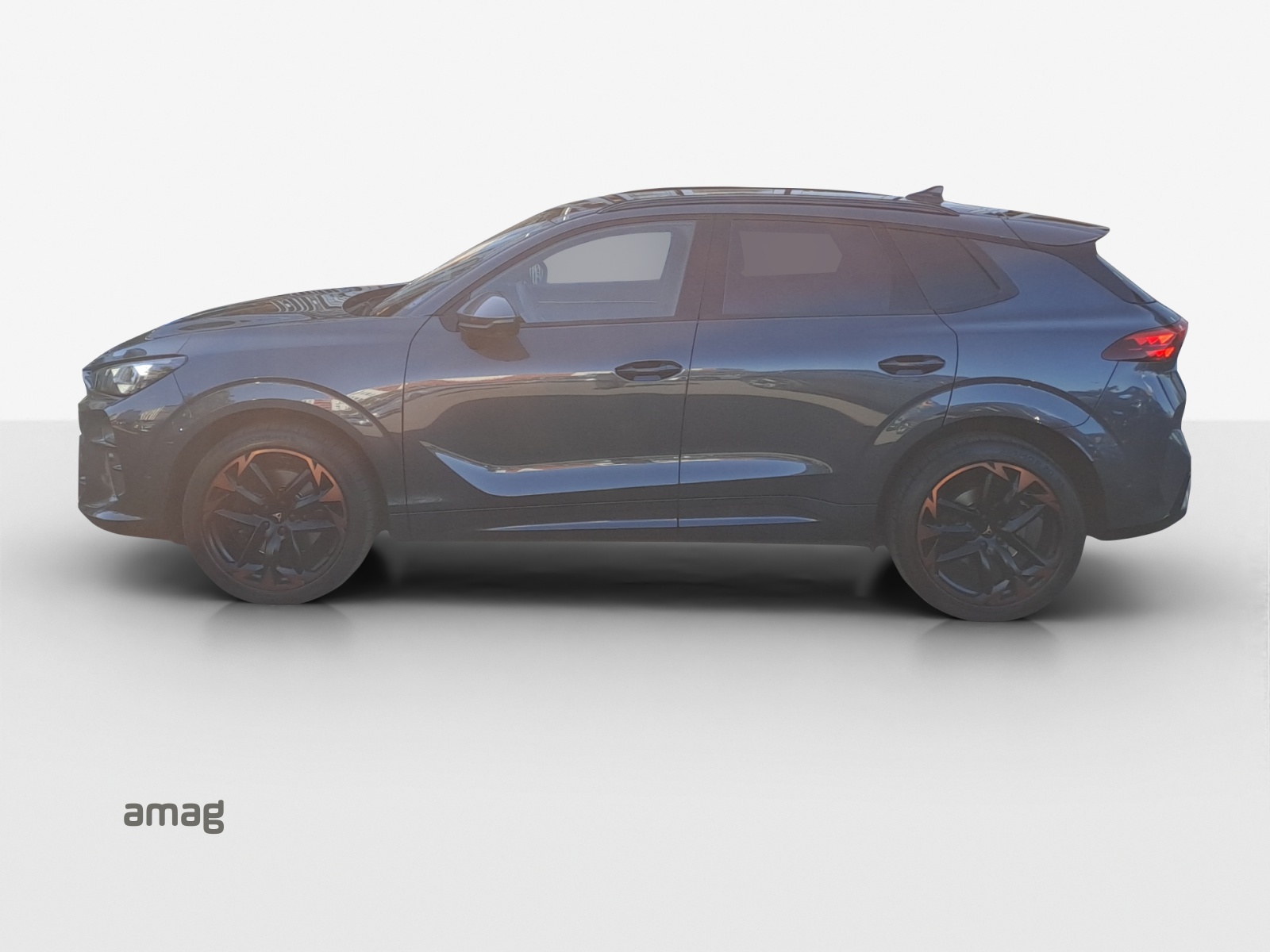 CUPRA Terramar 2.0 TSI DSG 4Drive Americas CUP-image-1