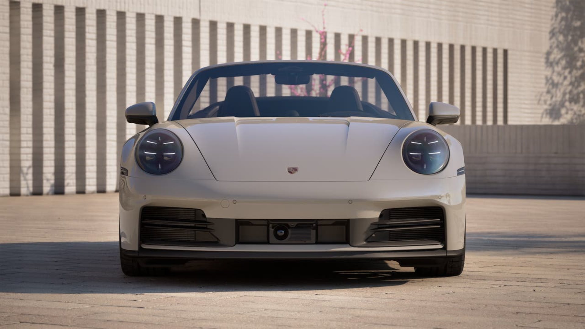 PORSCHE 911 Carrera Cabriolet-image-7