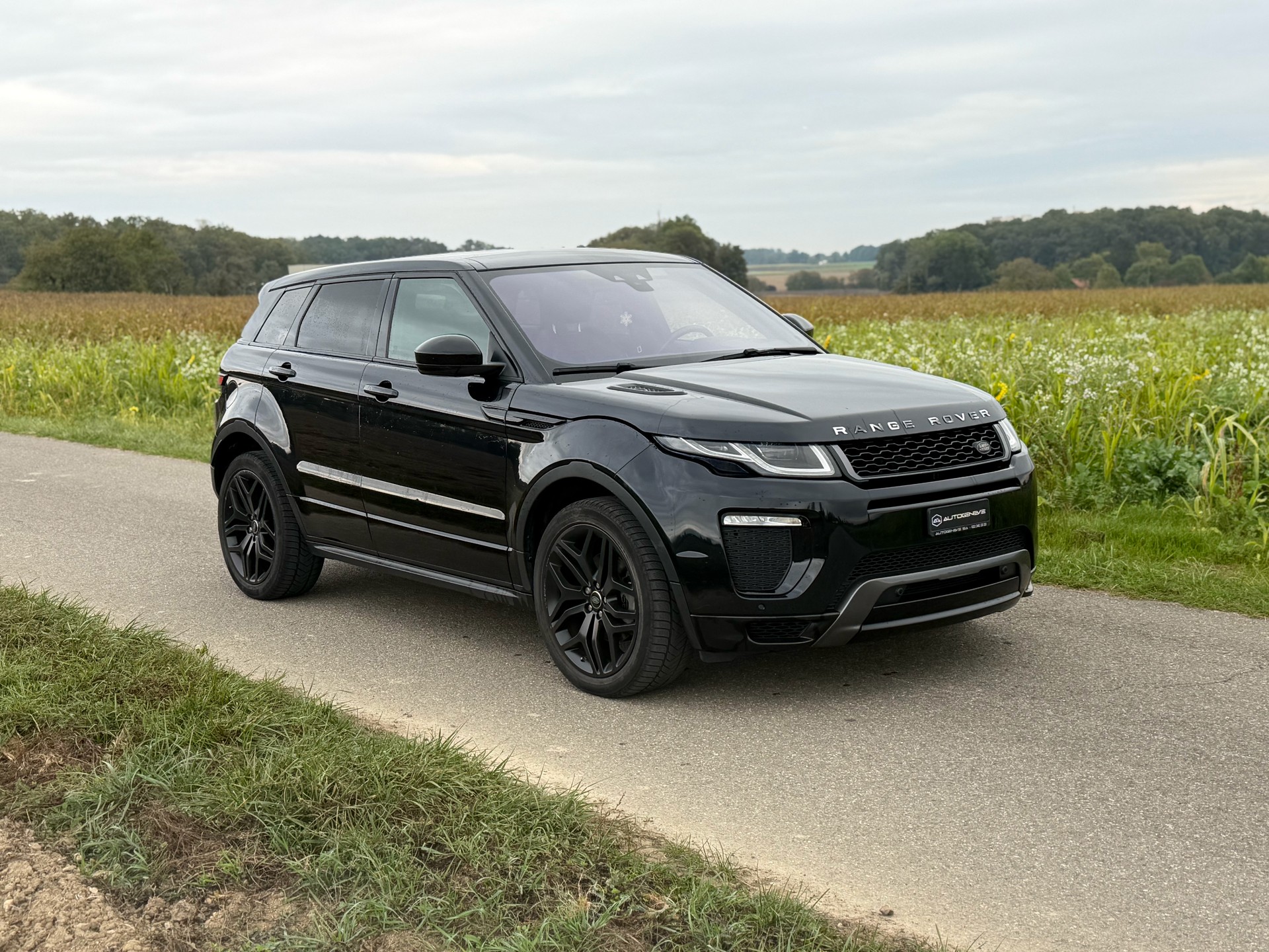 LAND ROVER Range Rover Evoque 2.0 TD4 HSE Dynamic AT9-image-4