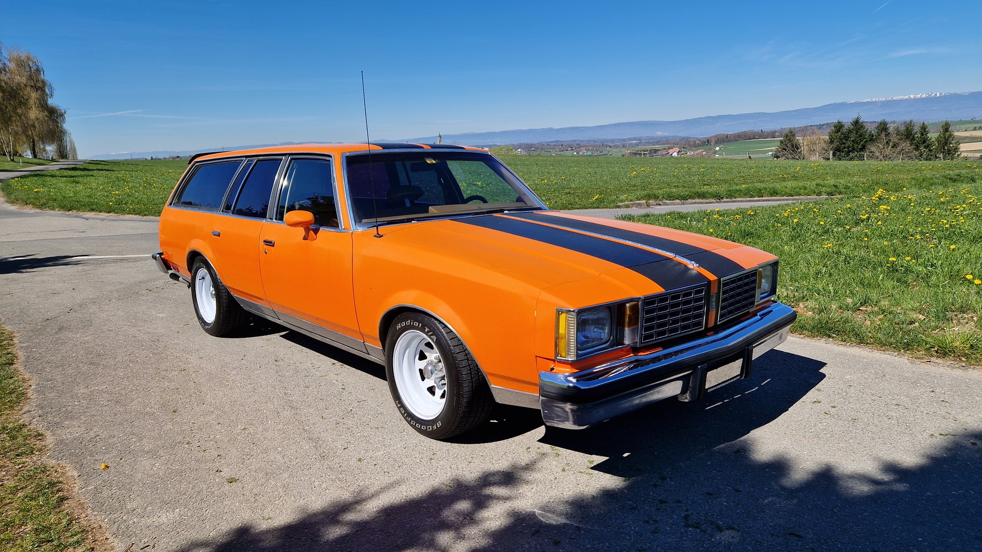 OLDSMOBILE CUTLASS-image-6