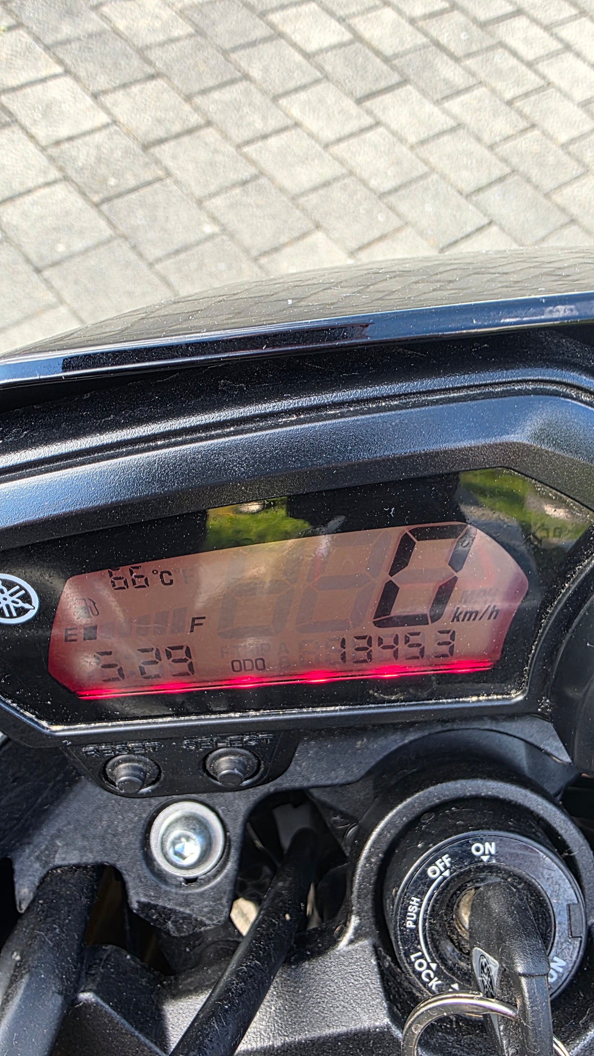 YAMAHA FZ8 N ABS-image-4