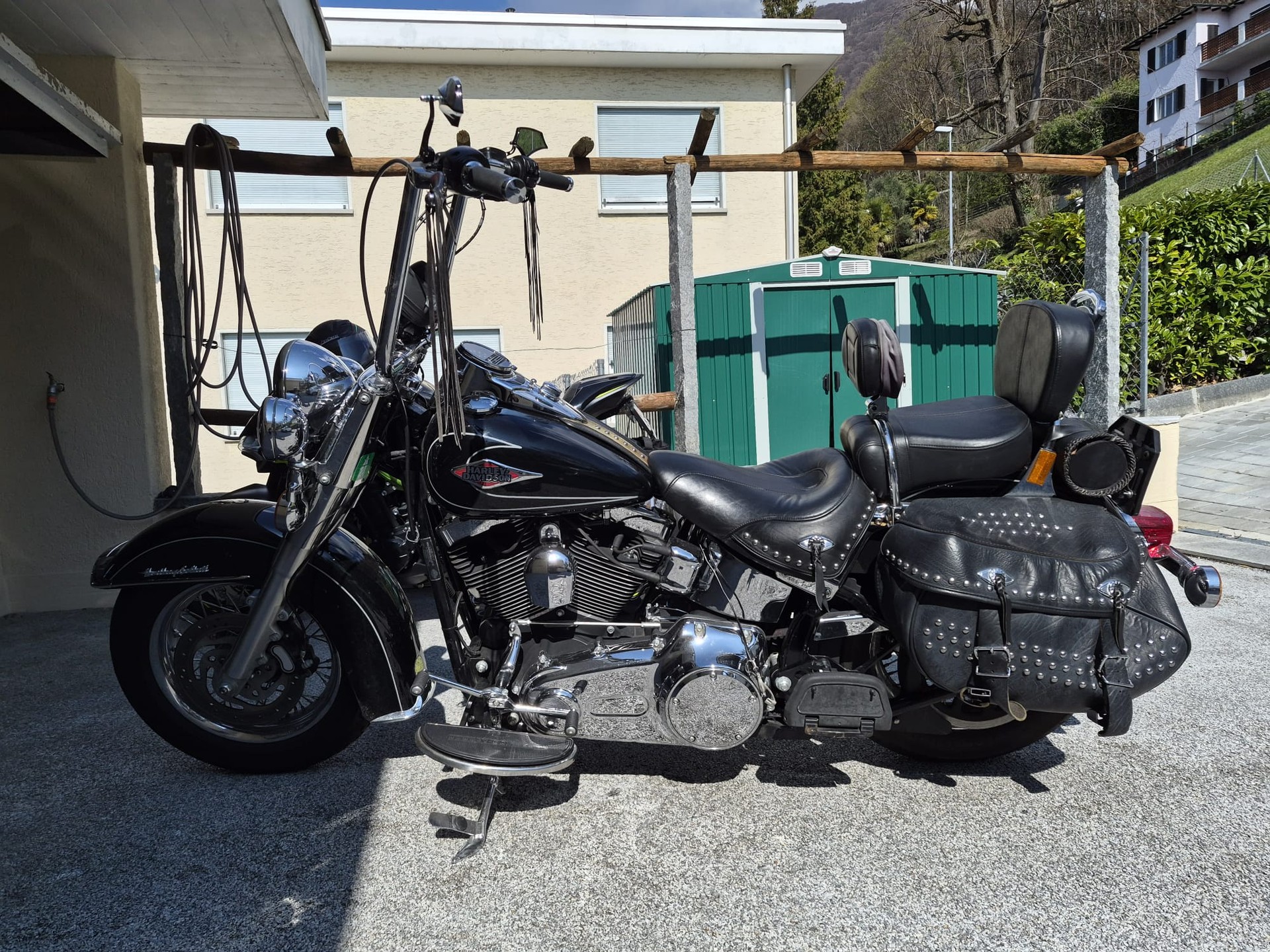HARLEY-DAVIDSON FLSTCI Softail Classic-showroom-element-1
