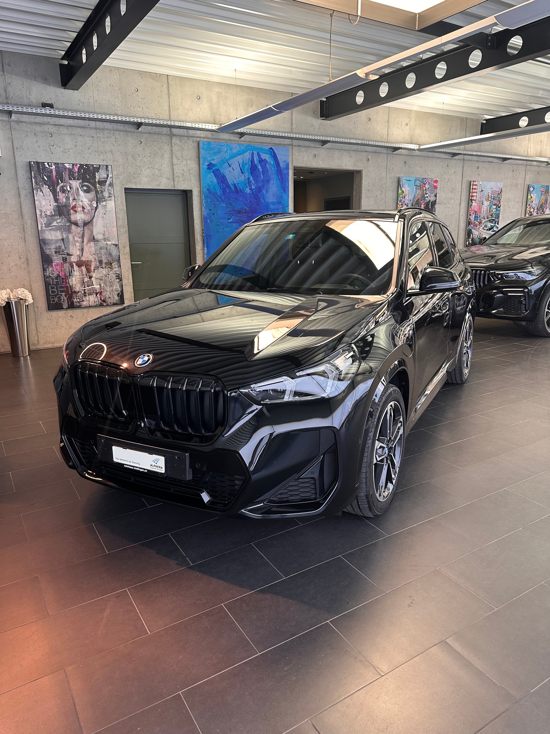BMW X1 30e xDrive paddles-image-6