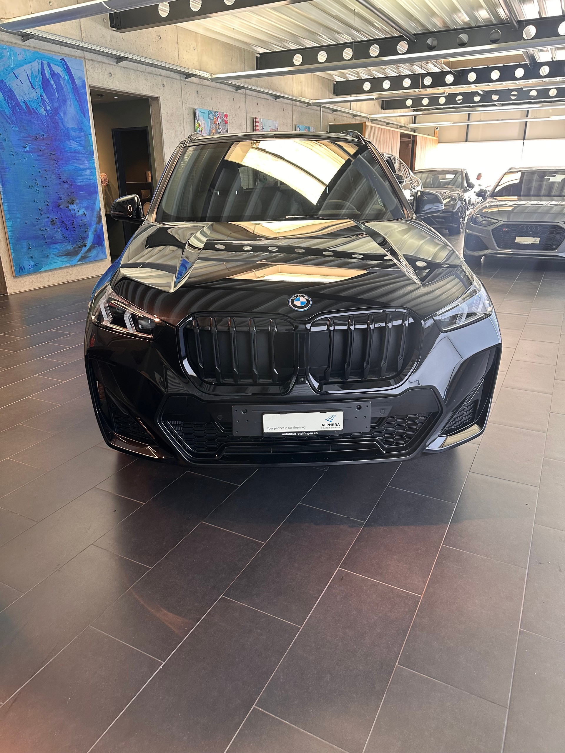BMW X1 30e xDrive paddles-image-3
