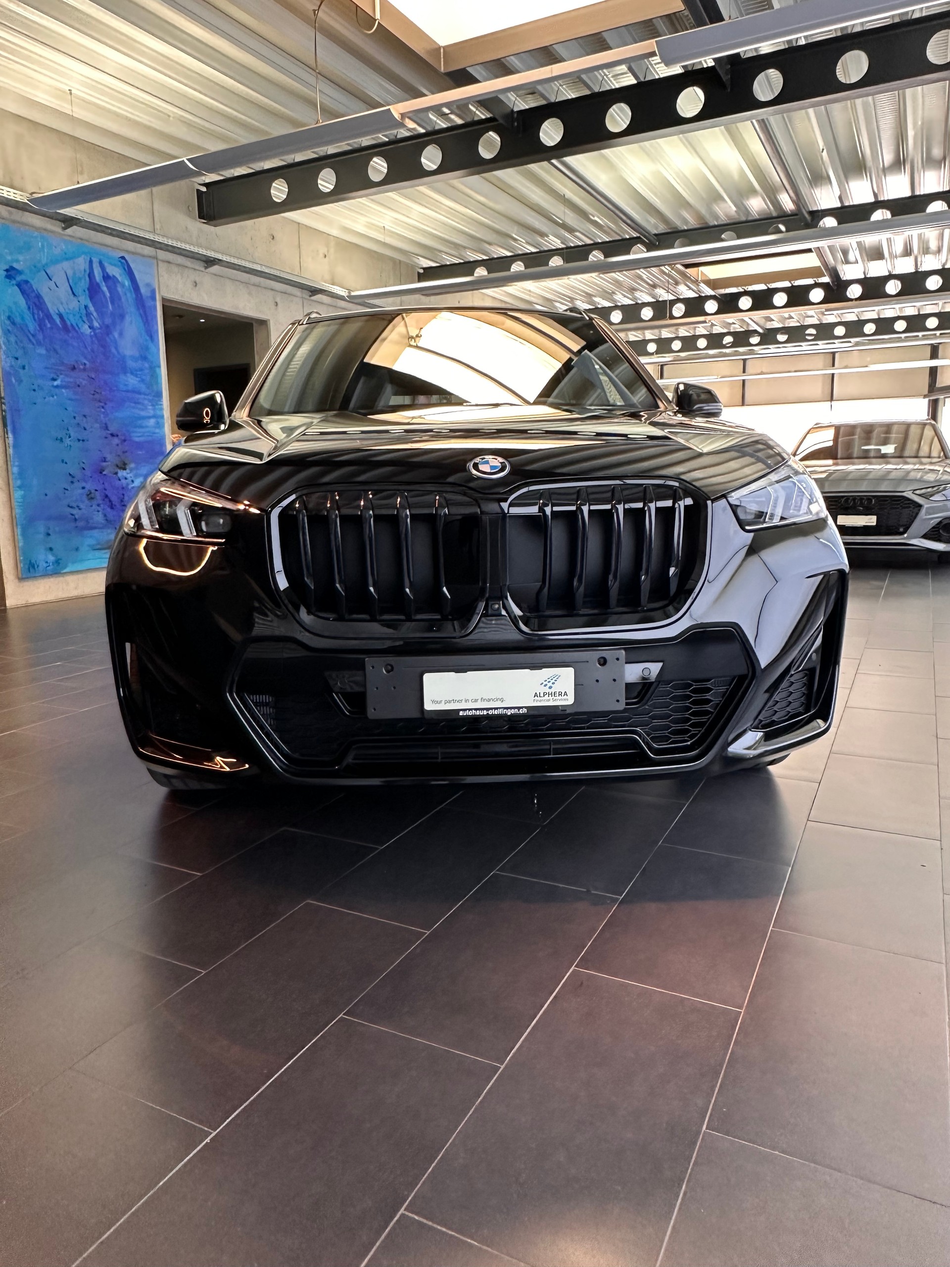 BMW X1 30e xDrive paddles-image-5