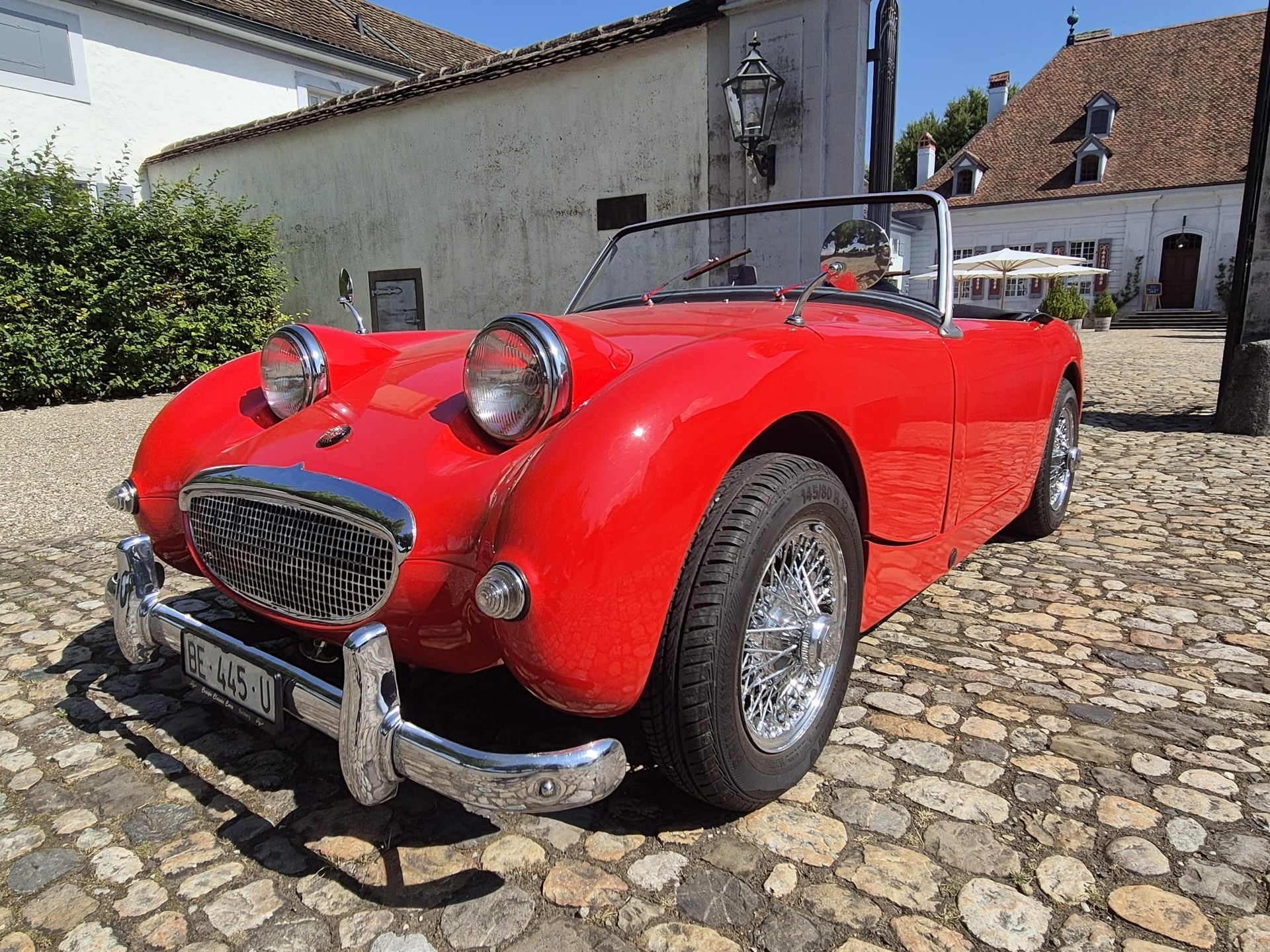 AUSTIN-HEALEY Frogeye-image-0