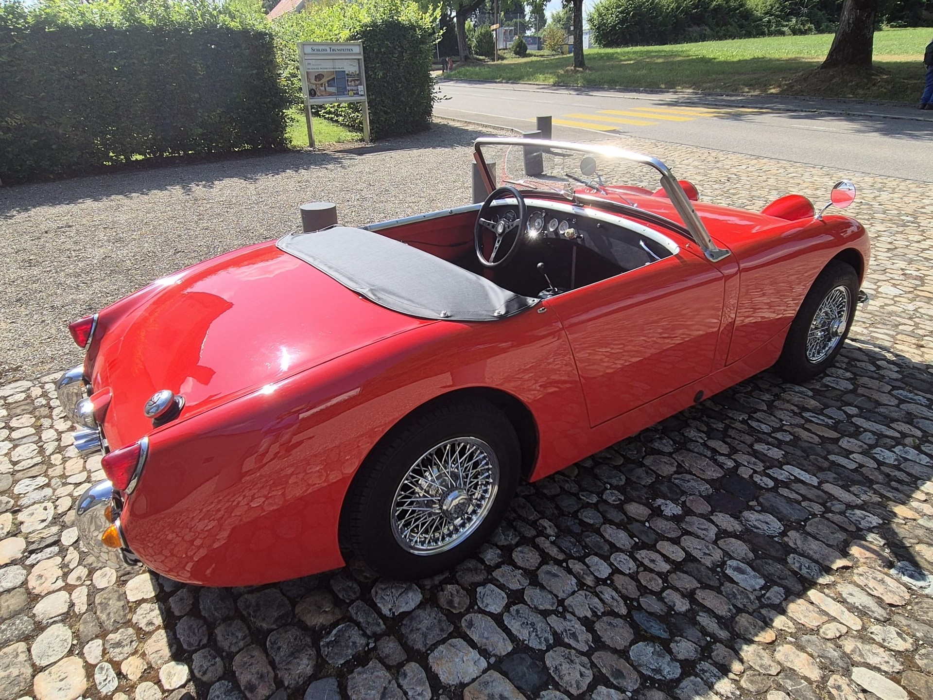 AUSTIN-HEALEY Frogeye-image-2