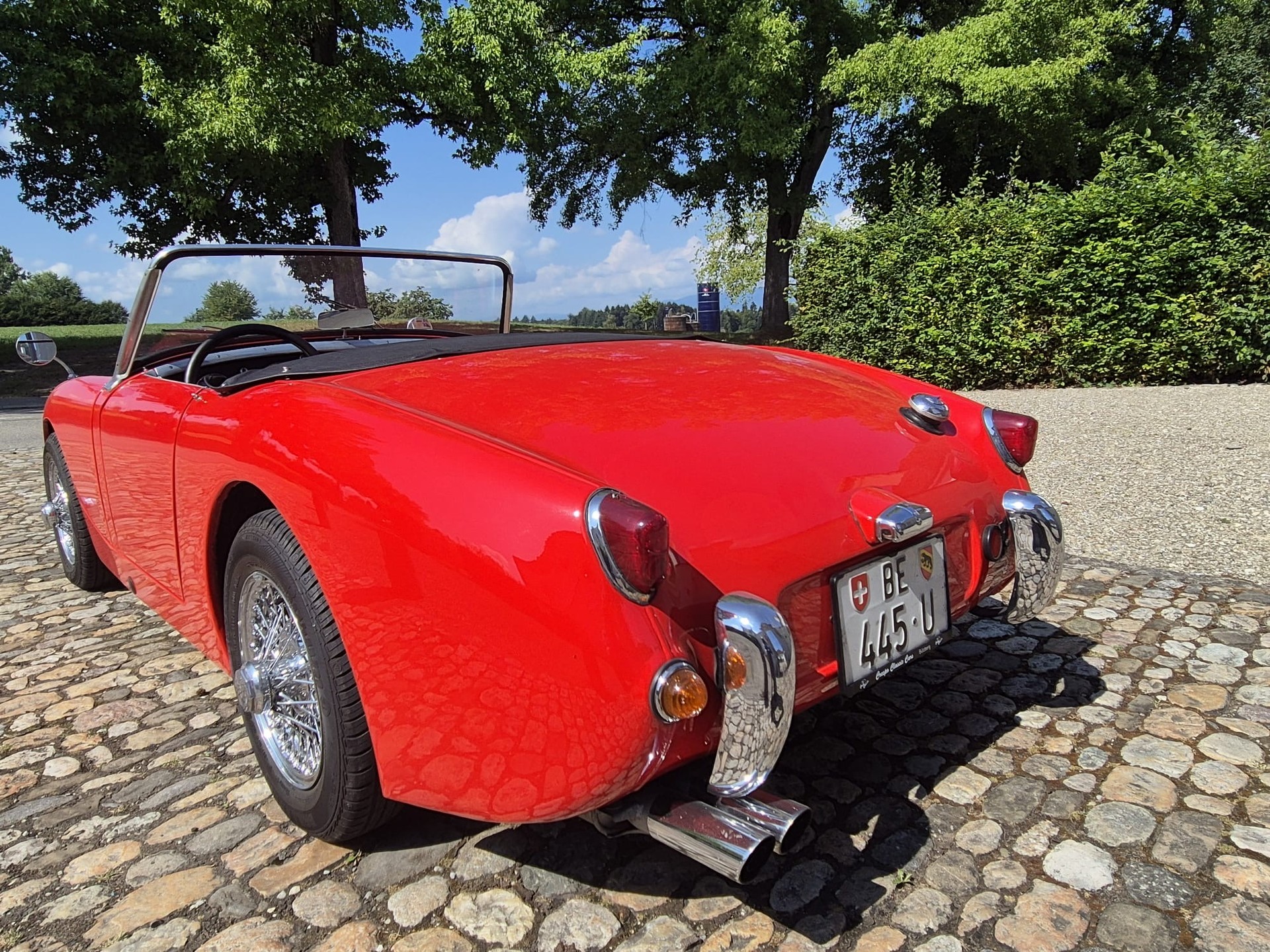 AUSTIN-HEALEY Frogeye-image-1