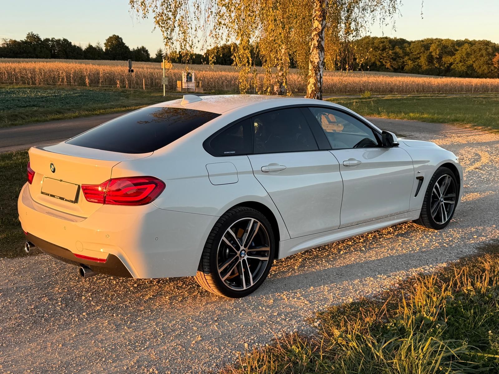 BMW BMW 440i xDrive Gran Coupé M Sport-image-3