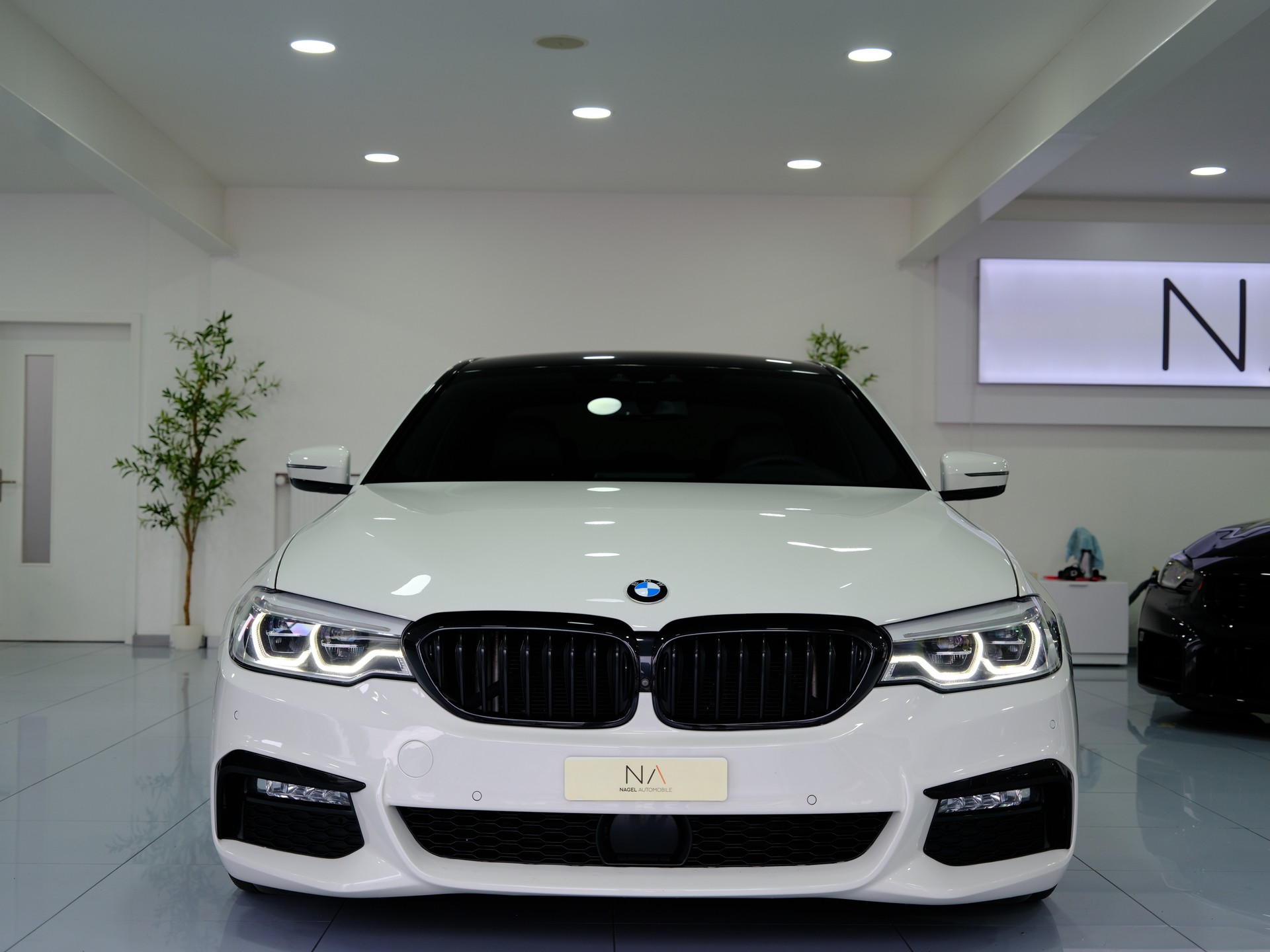 BMW 540d xDrive Steptronic-image-2