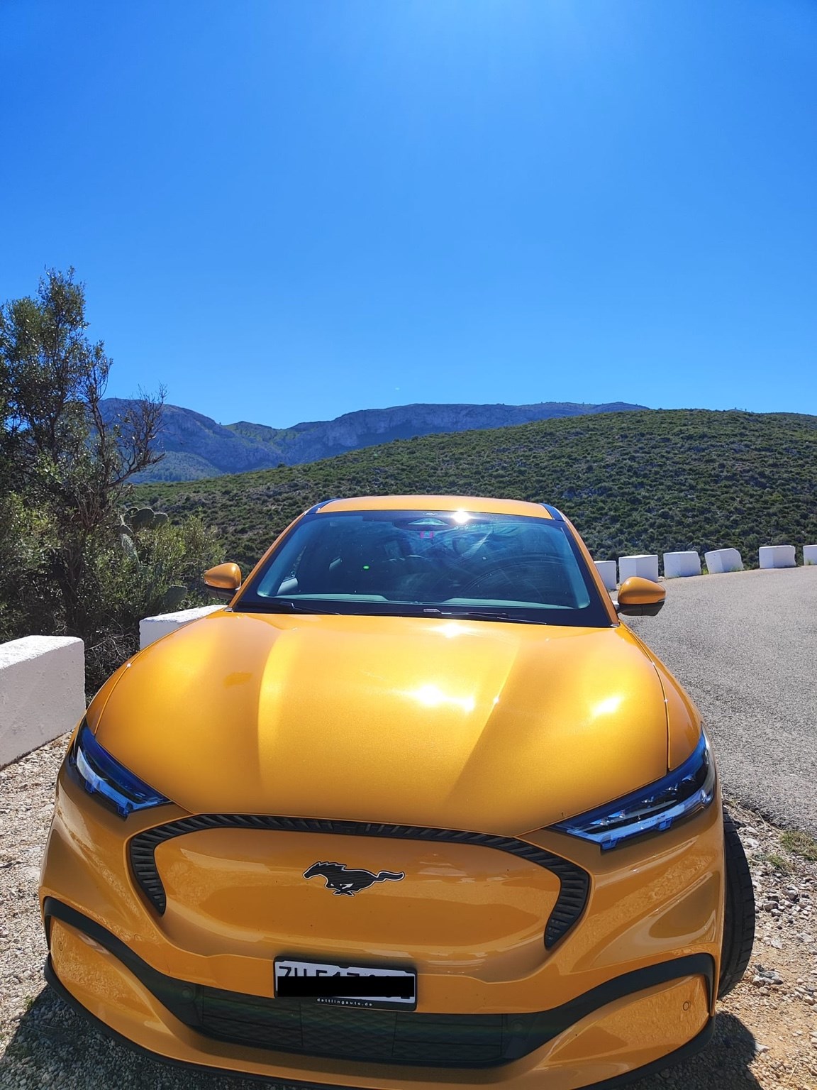 FORD Mustang MACH-E RWD 75 kWh-image-1