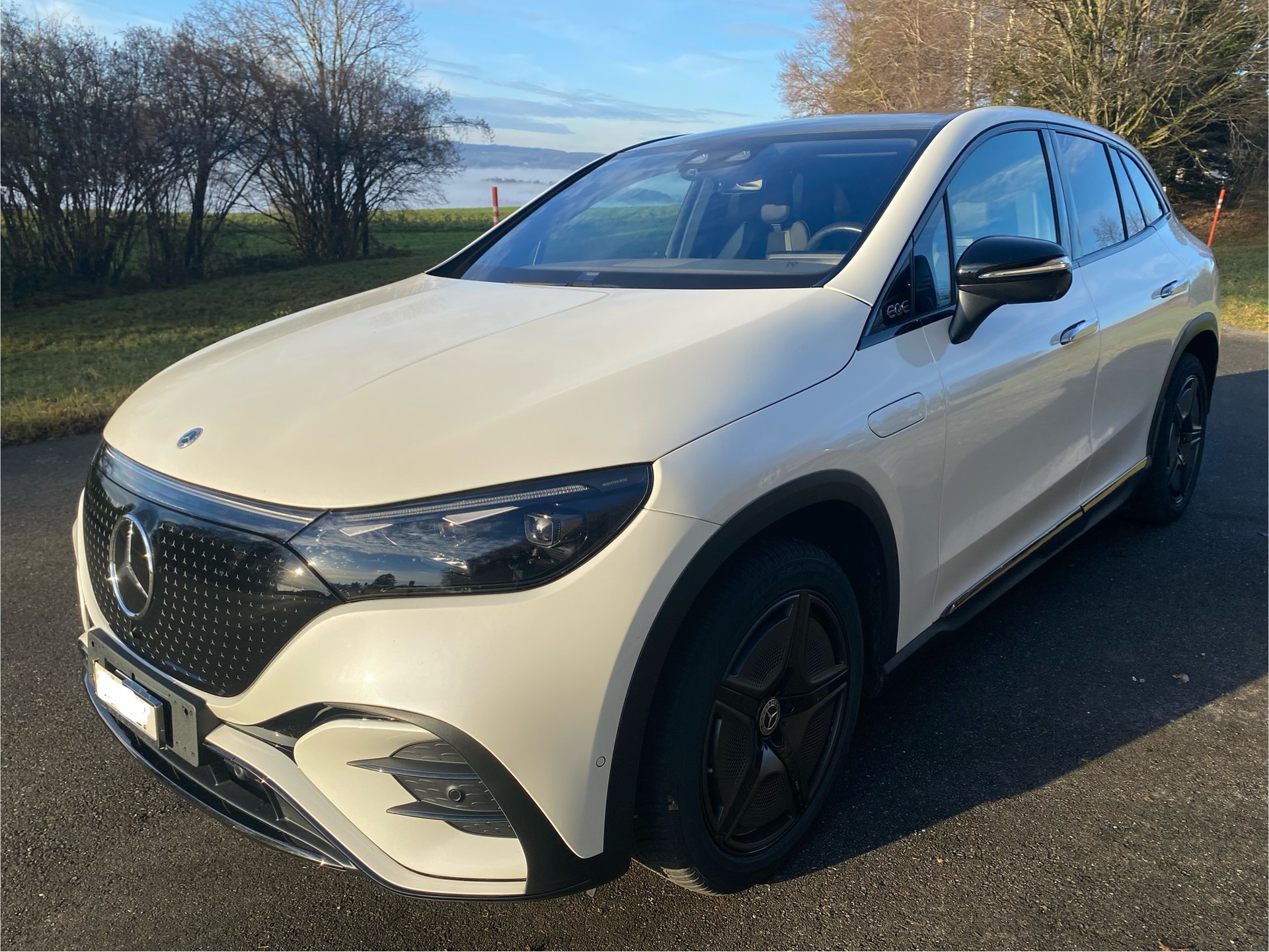 MERCEDES-BENZ EQE SUV 350 4 Matic-image-0