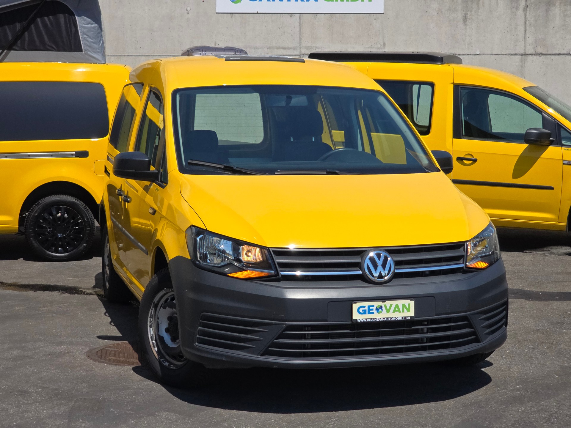 VW VW GEOVAN M - 1.0 TSI 102PS - Benzin - Fensterbus-image-0