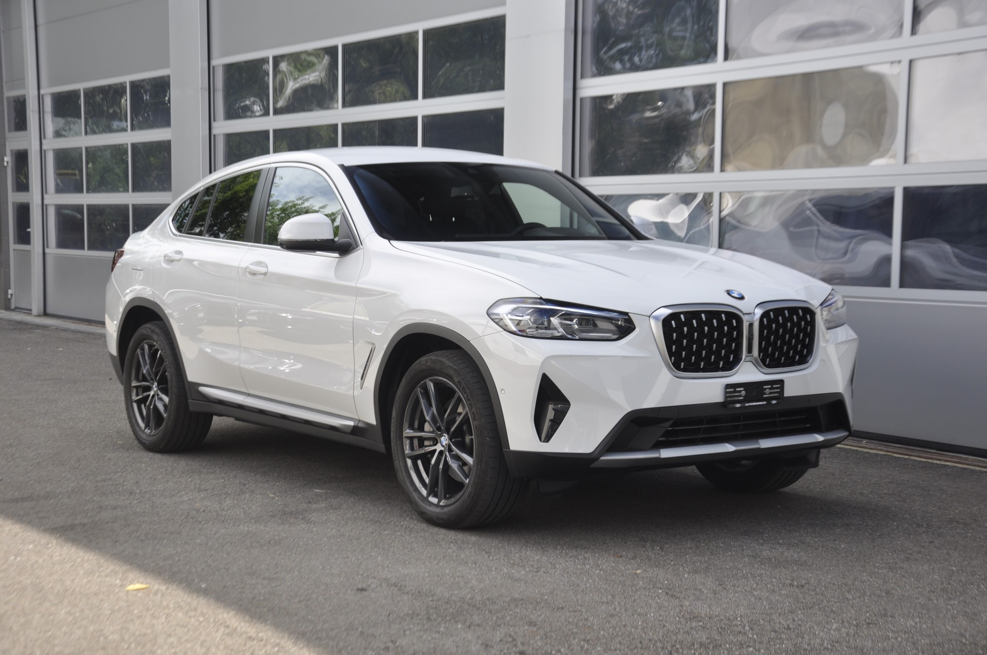 BMW X4 xDrive 48V 30d Steptronic I Anhängerkupplung-image-0