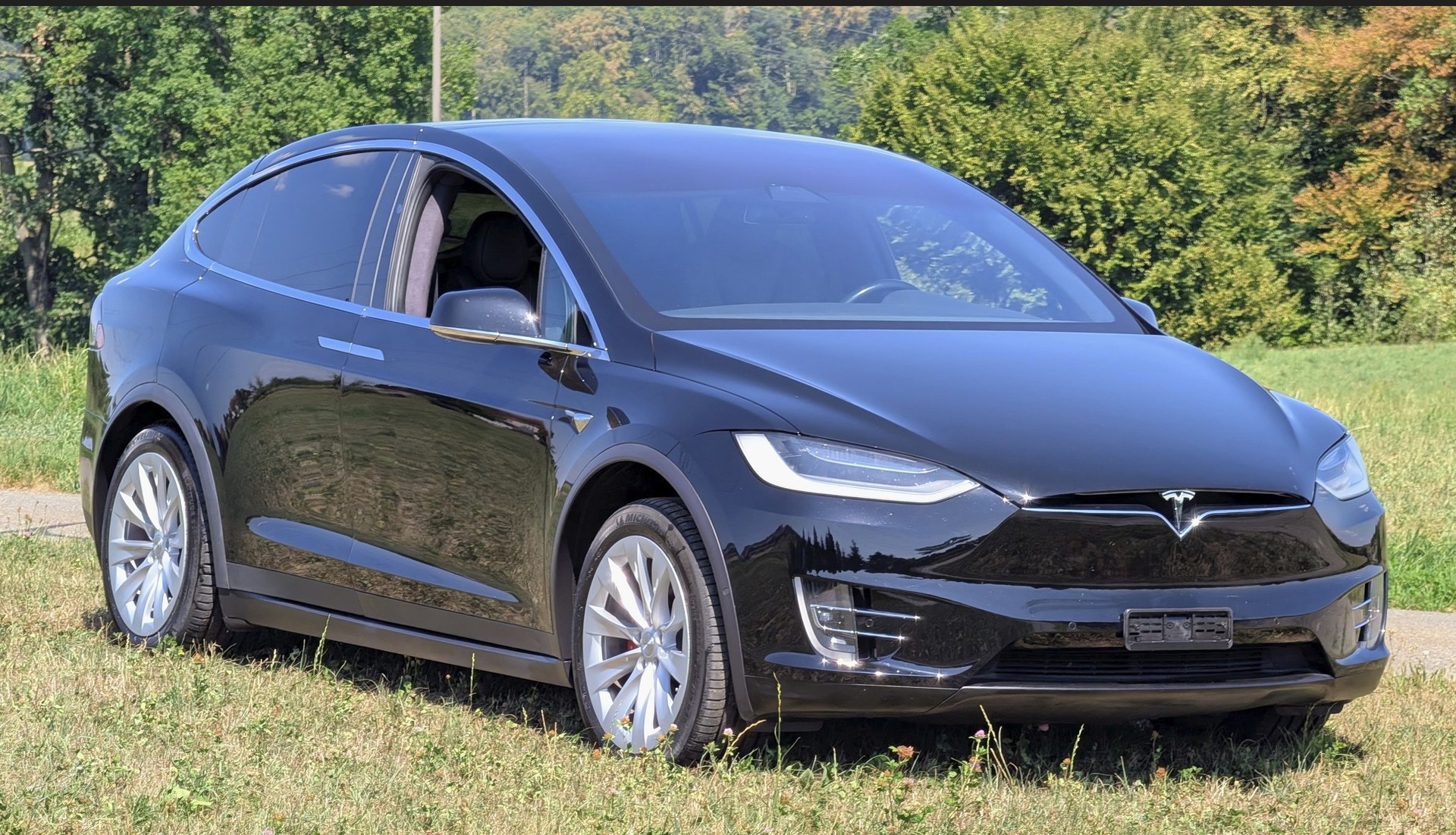 TESLA Performance-image-0
