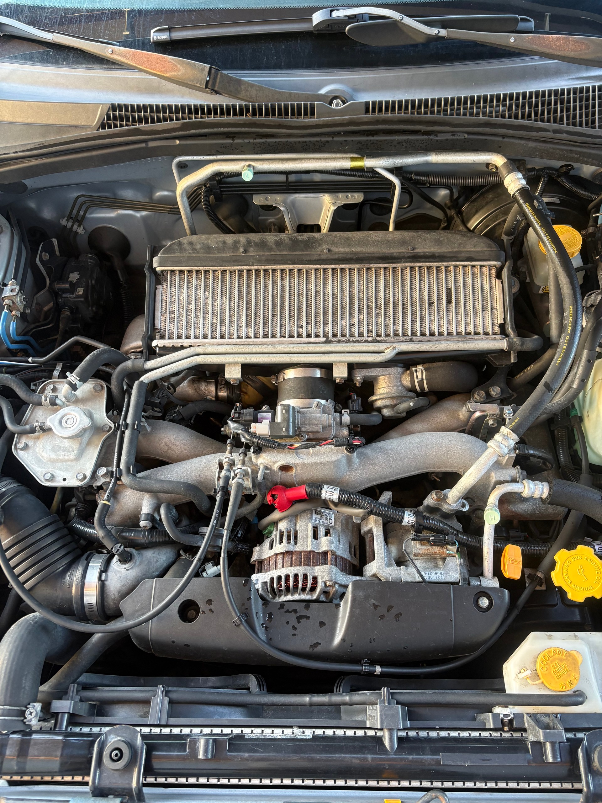 SUBARU Forester 2.0XT Automatic-image-9
