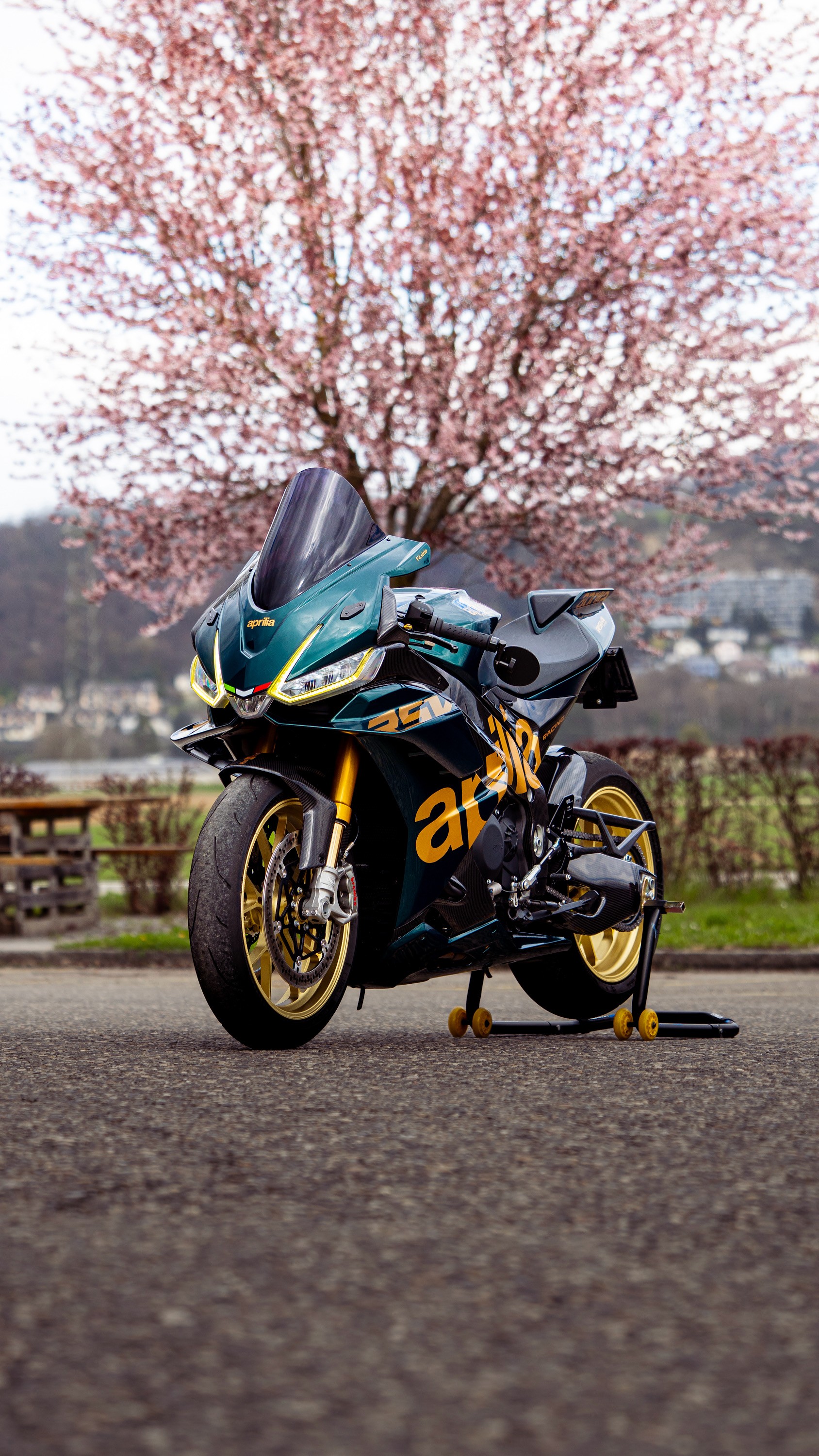 APRILIA RSV4 1100 Factory-image-9