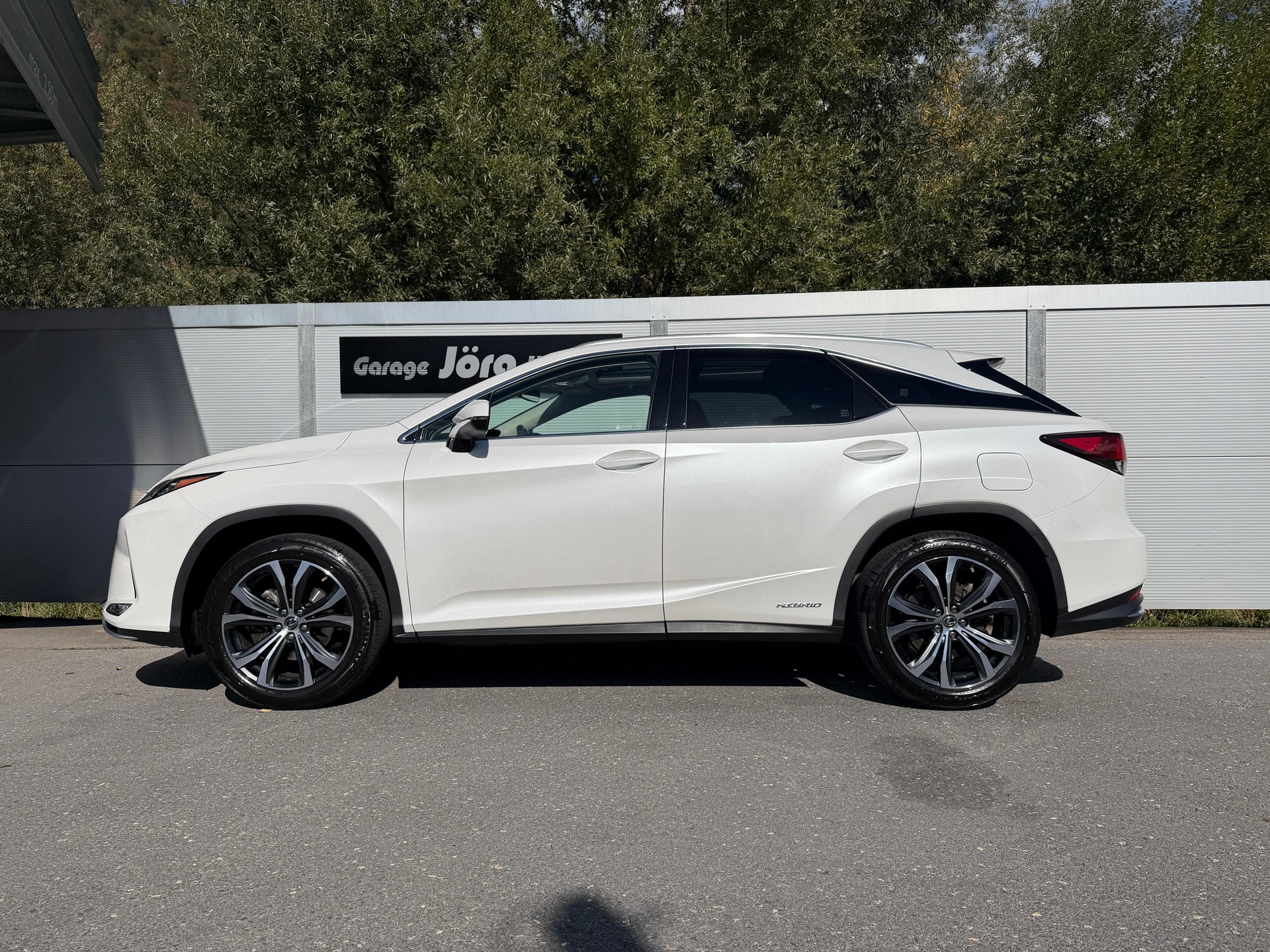 LEXUS RX 450h Excellence-image-2