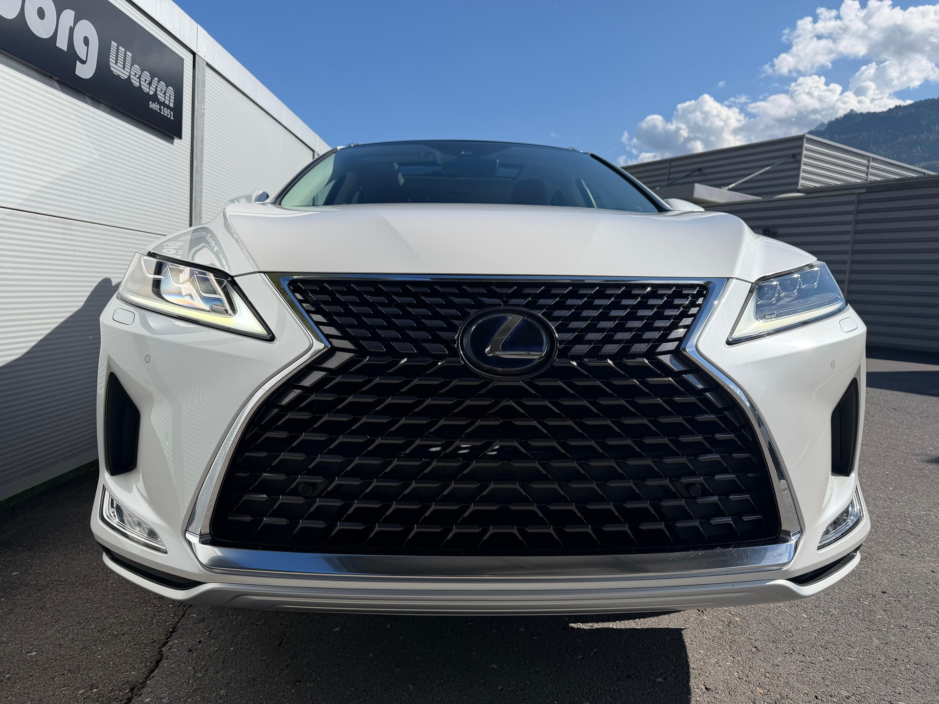 LEXUS RX 450h Excellence-image-1