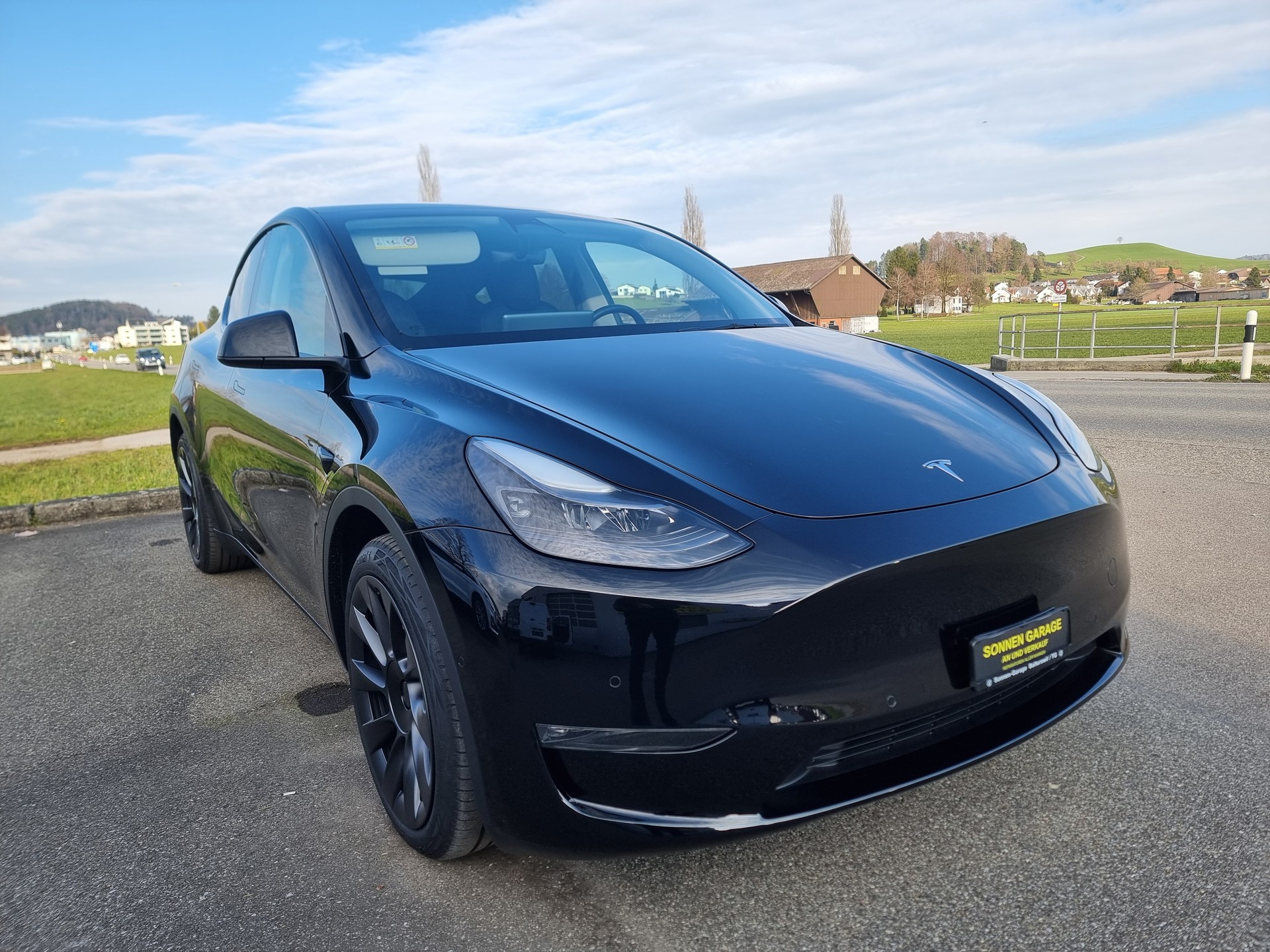 TESLA Model Y Long Range-image-2