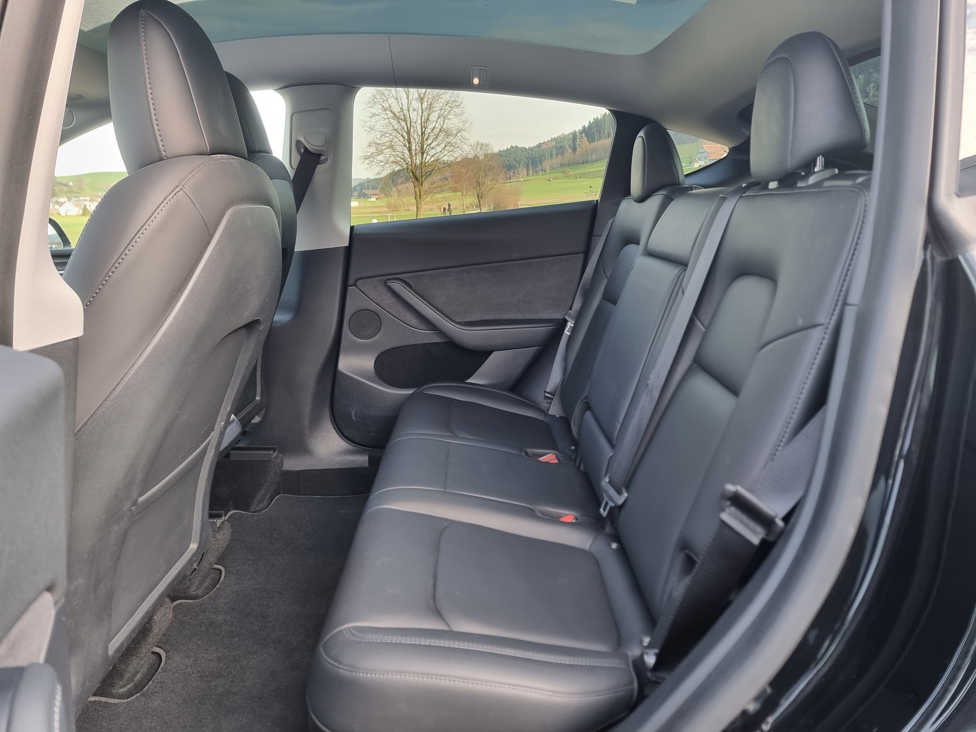TESLA Model Y Long Range-image-5