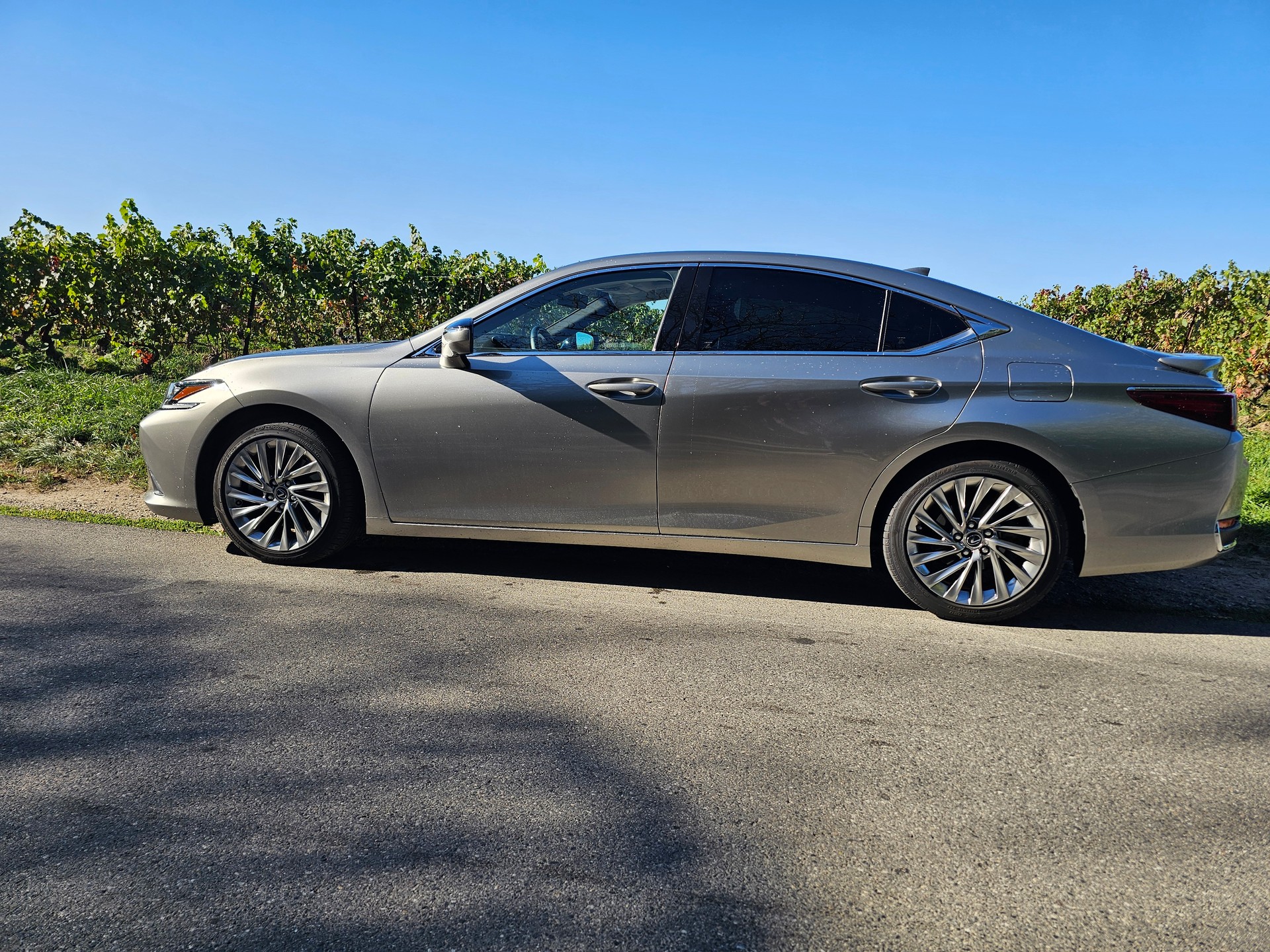 LEXUS 300h Excellence-image-1