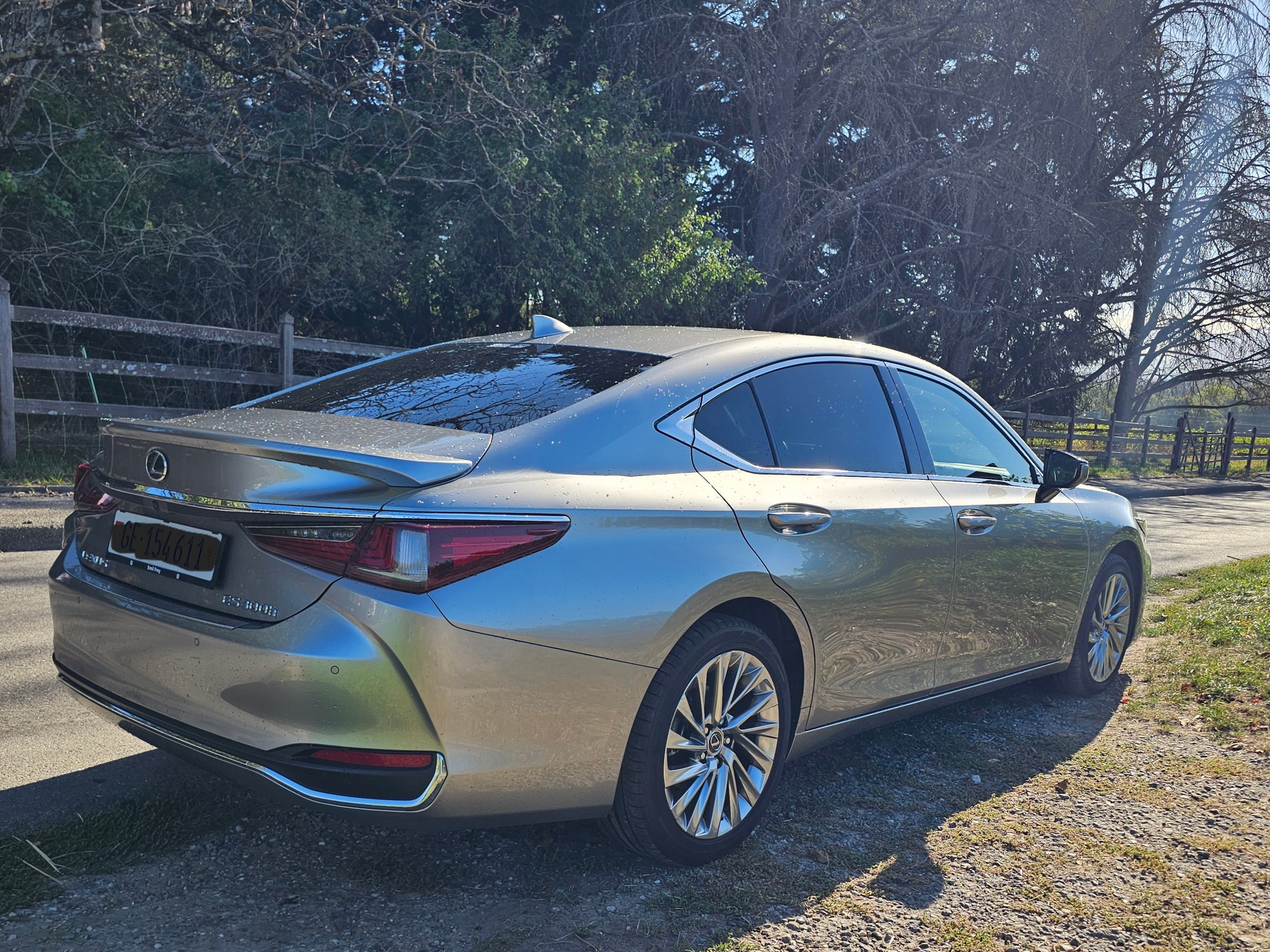 LEXUS 300h Excellence-image-2