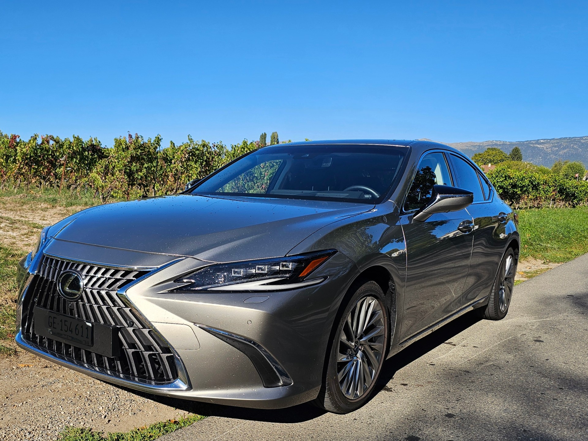 LEXUS 300h Excellence-image-0