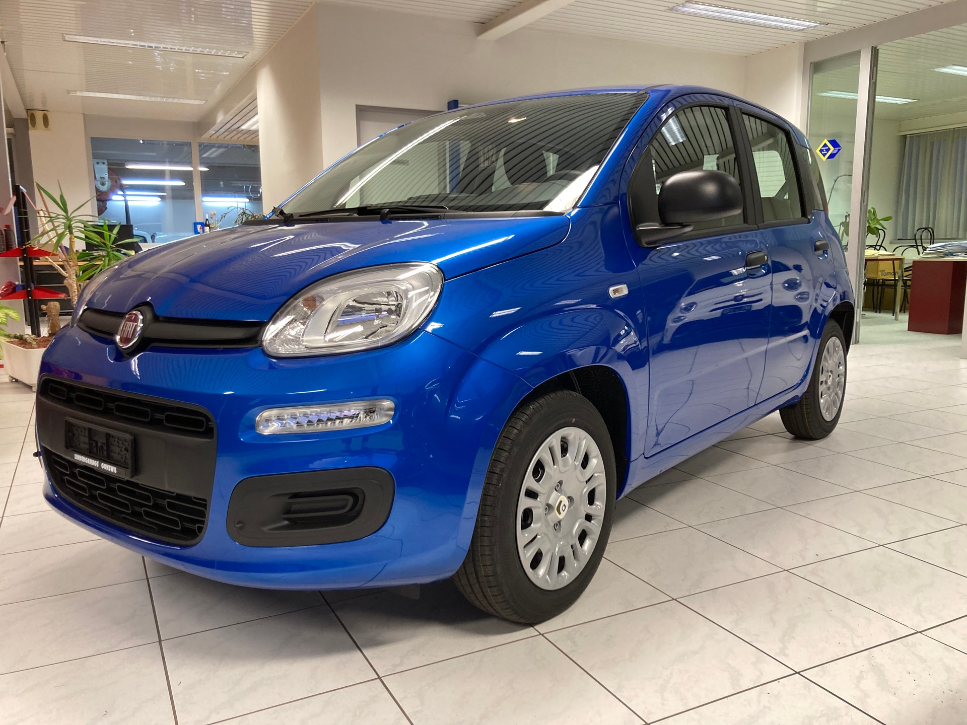 FIAT Panda 1.0 MHEV City Life-image-6