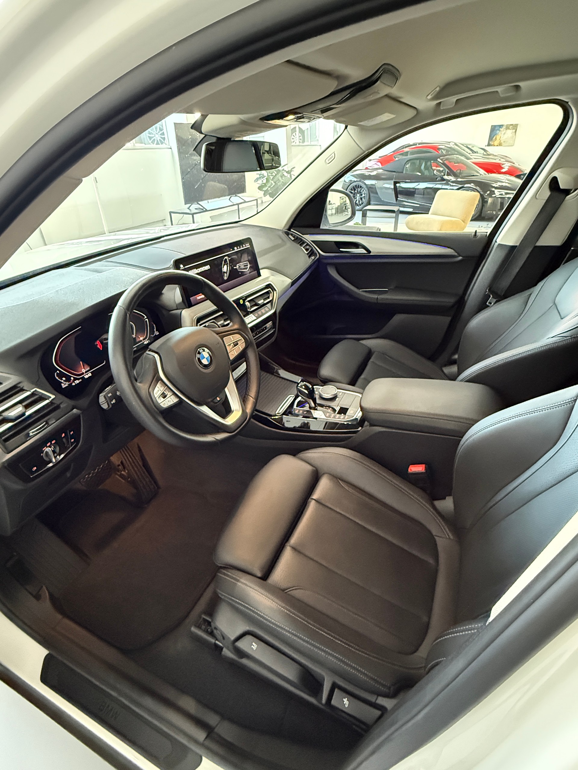 BMW X3 xDrive 48V 30d Individual-image-6