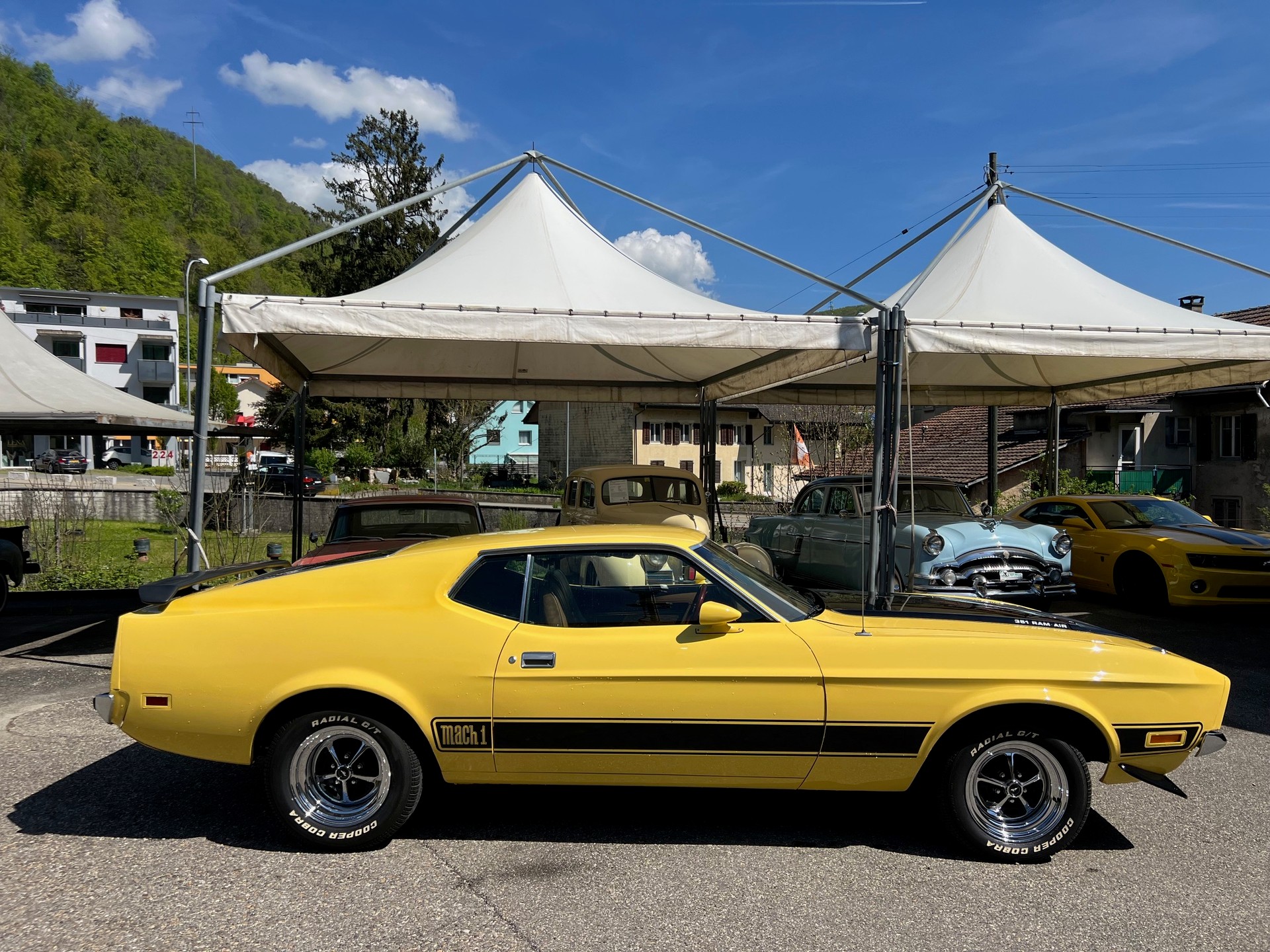 FORD Mustang Mach1-image-5