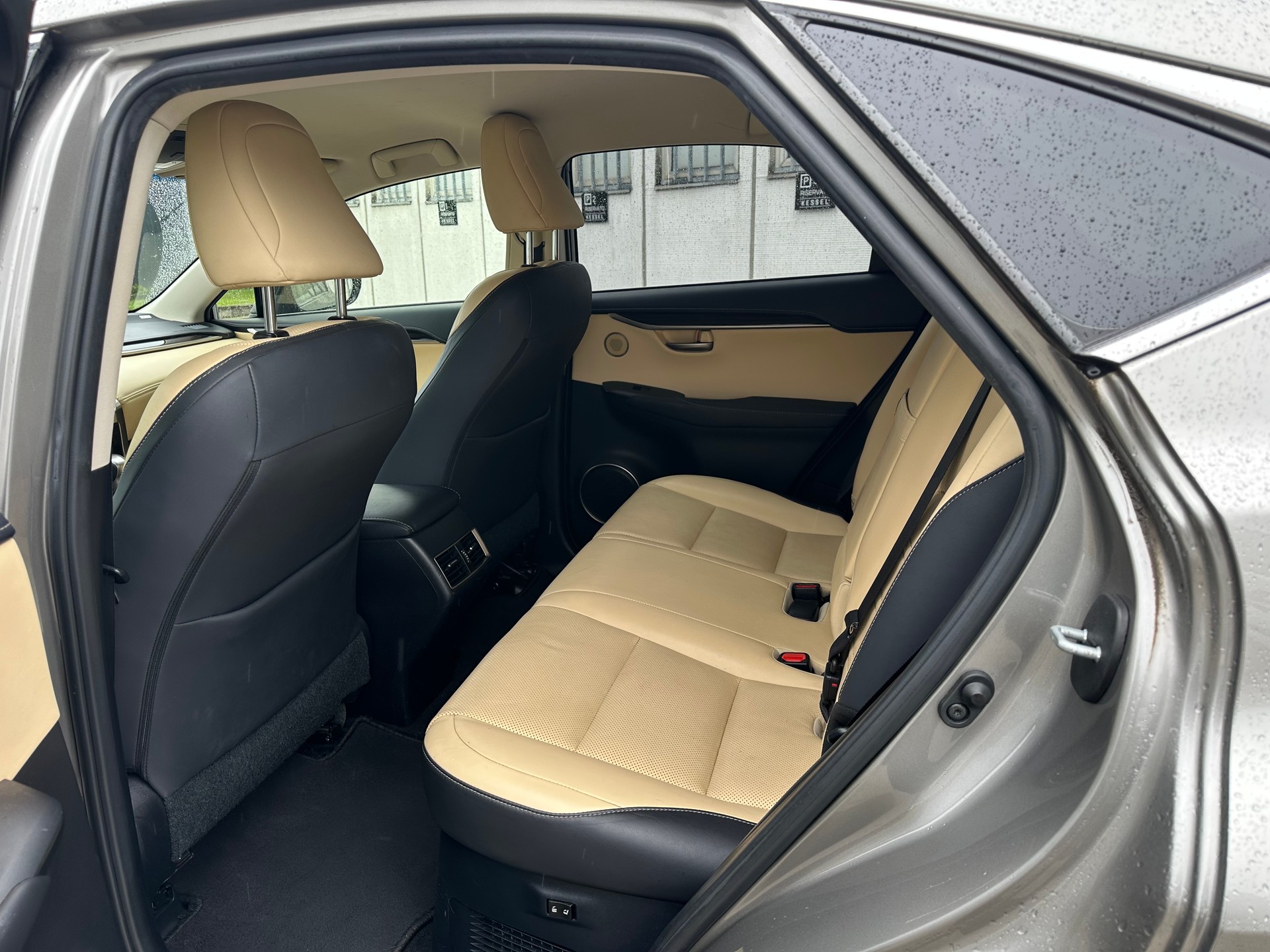 LEXUS NX 300h excellence E-Four Automatic-image-7