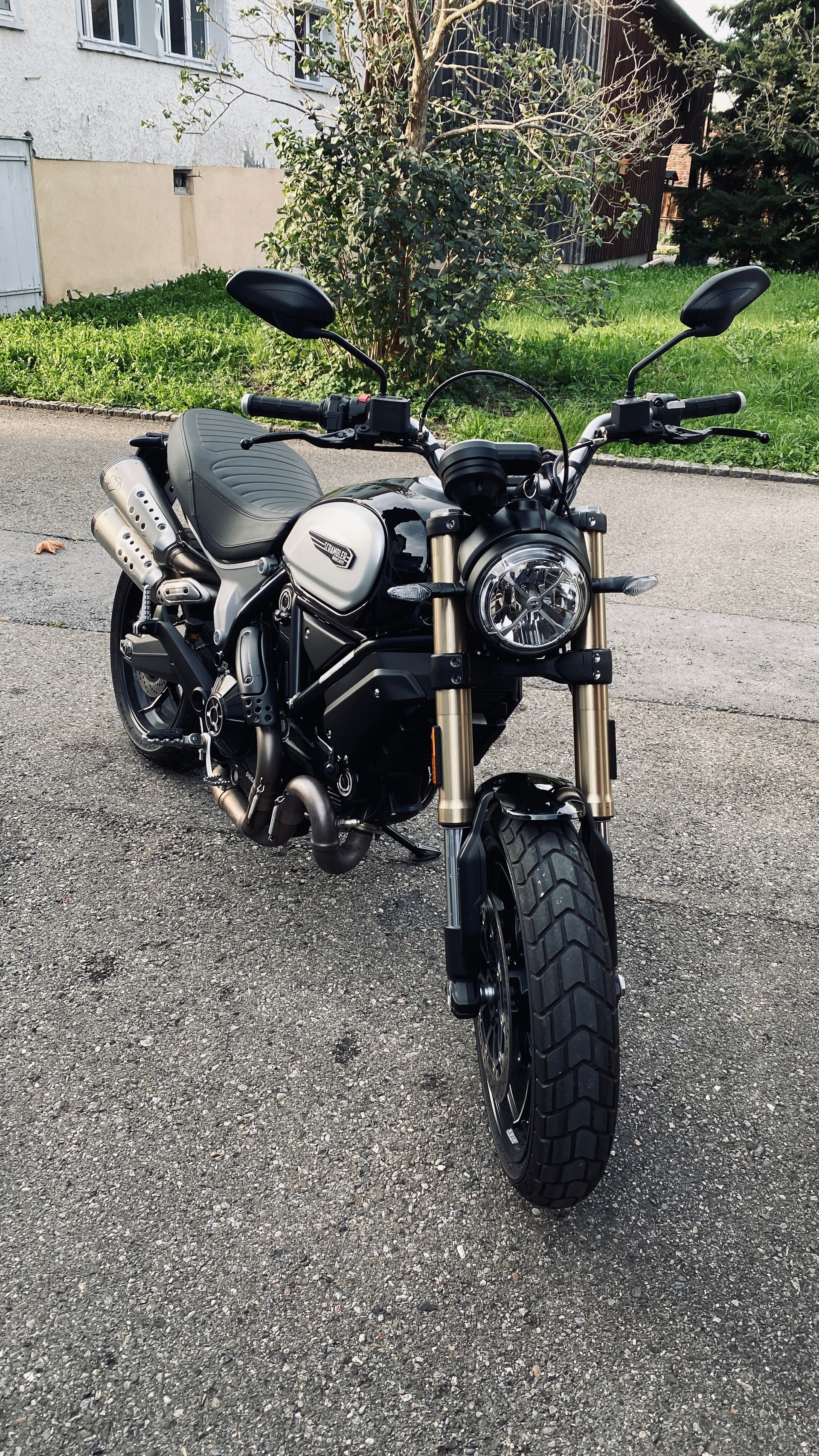 DUCATI Scrambler 1100-image-2