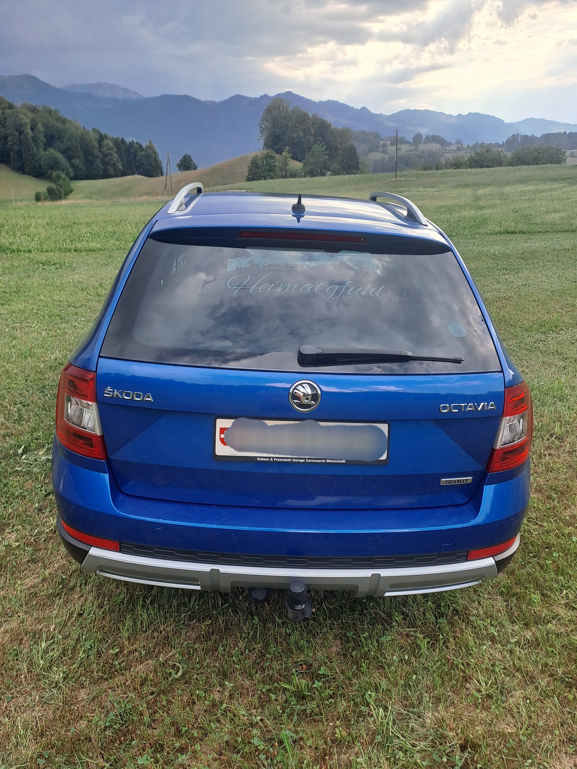SKODA Scout-image-1