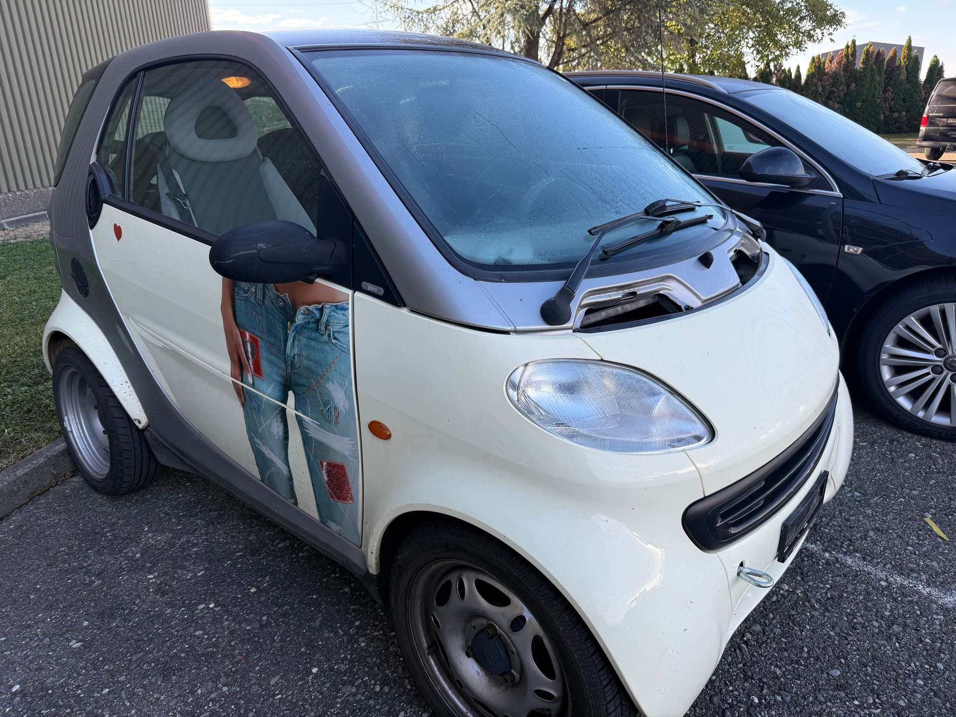 SMART fortwo pure-image-1