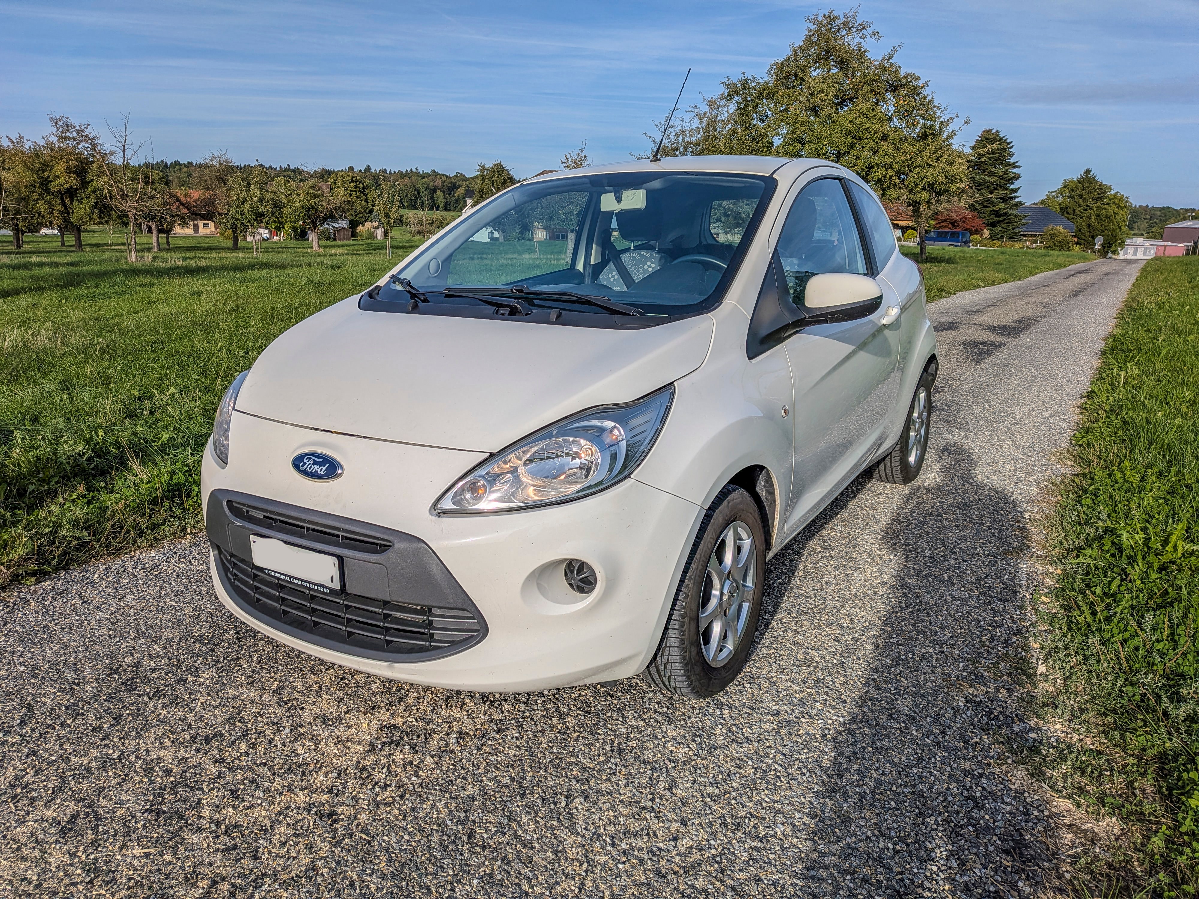Car photo