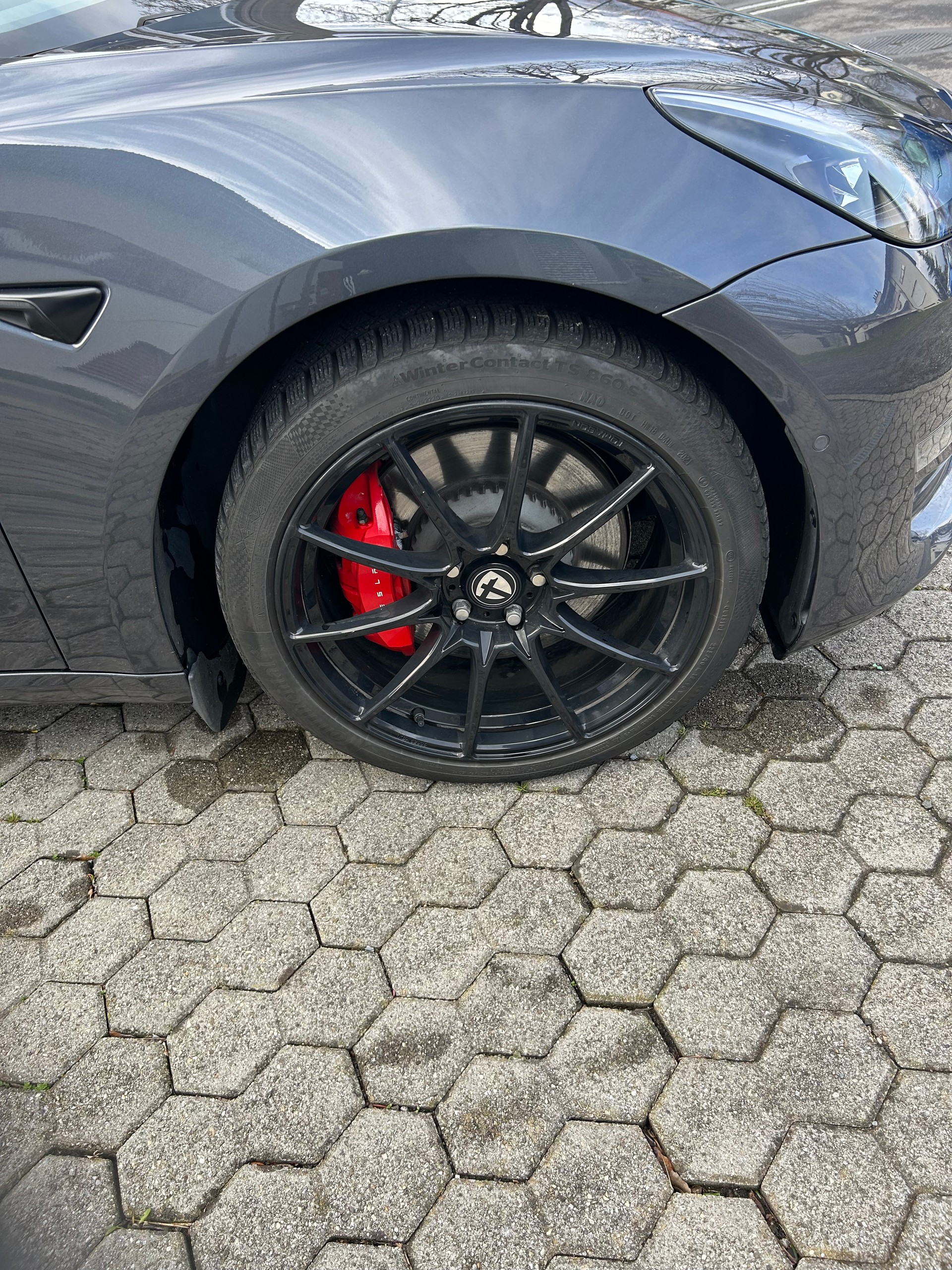 TESLA Model 3 Performance Dual Motor AWD-image-6