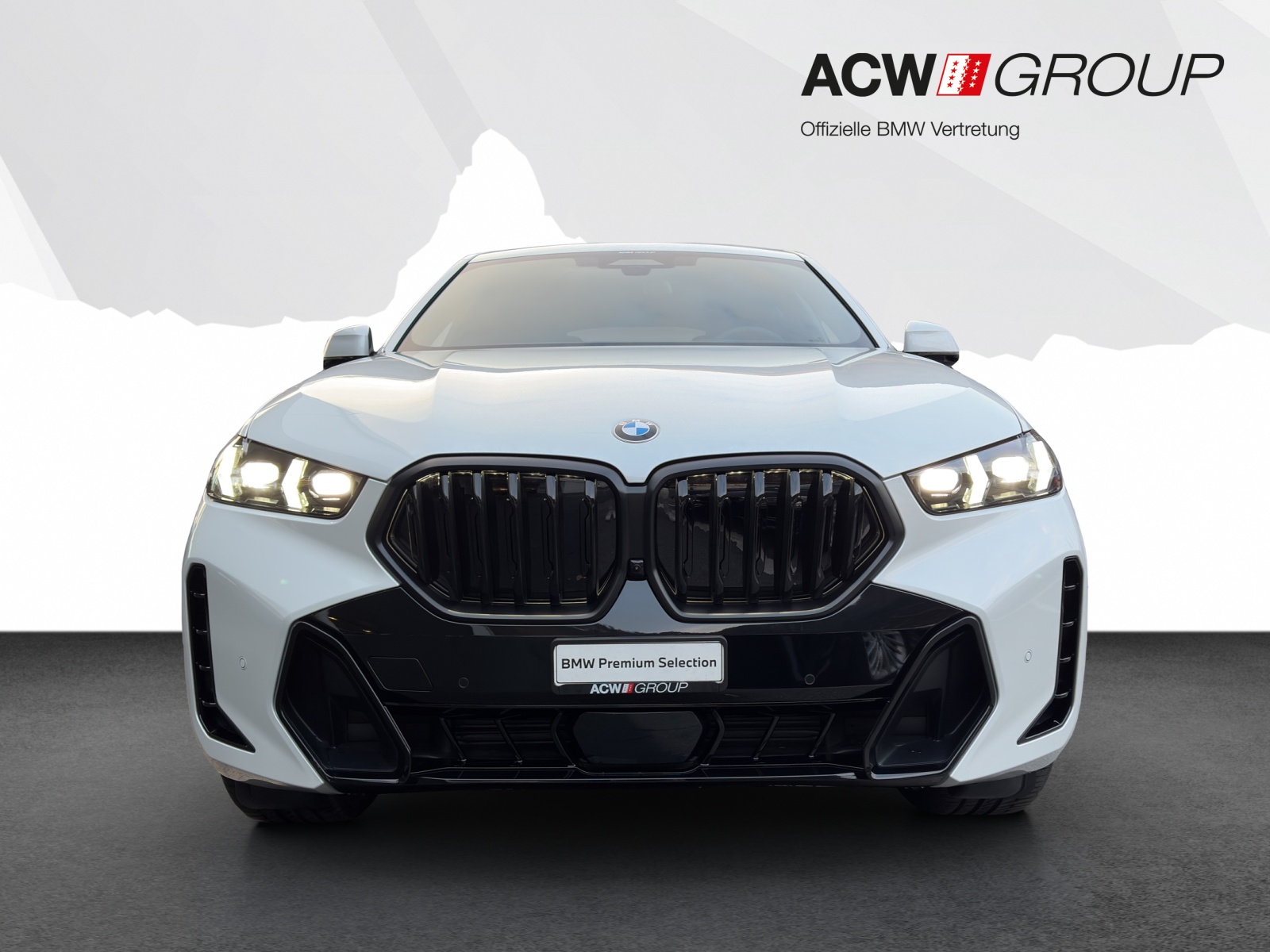 BMW X6 40d xDrive-image-7