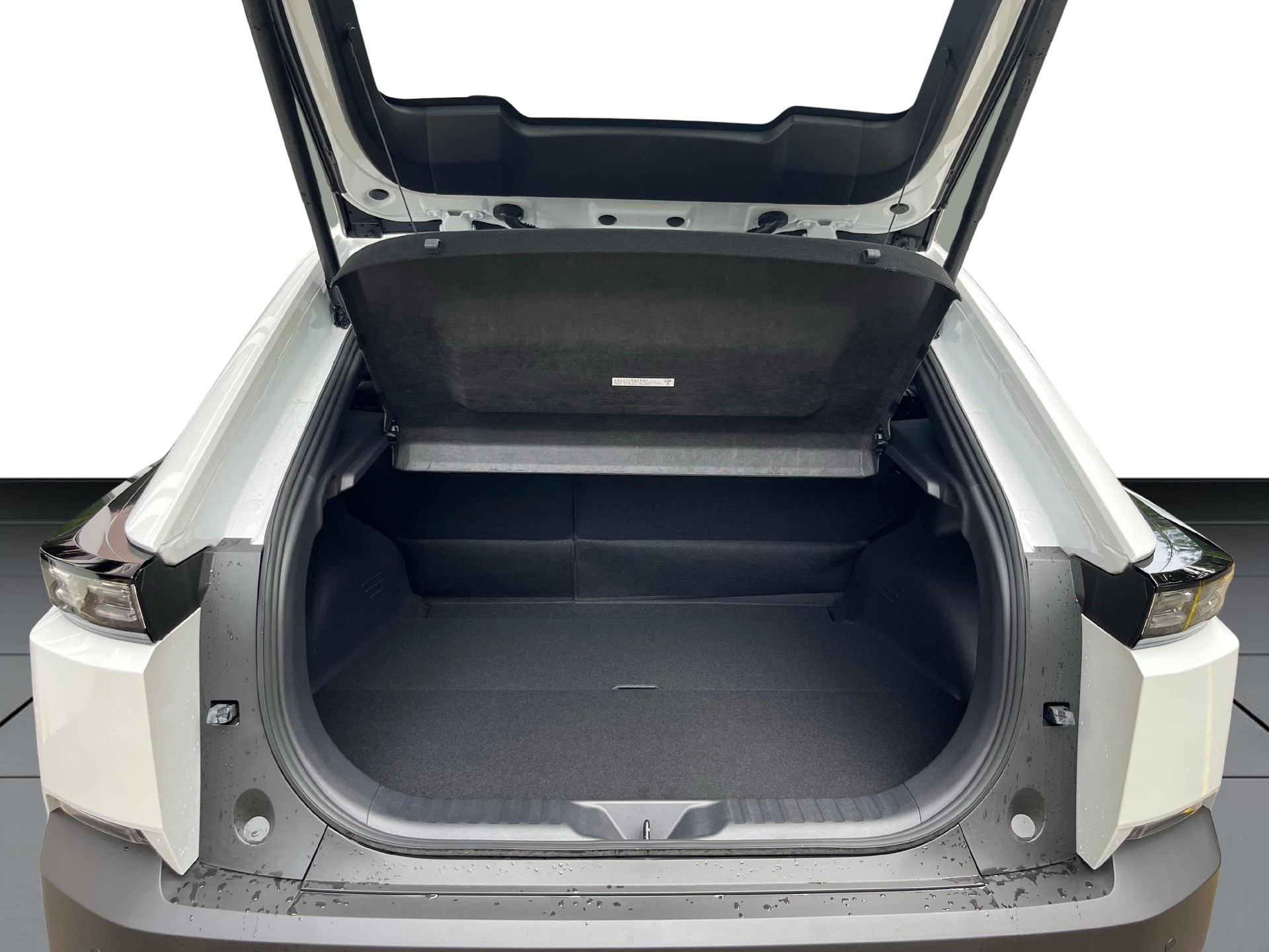 SUBARU Uncharted eV Luxury 77 kWh AWD-image-12